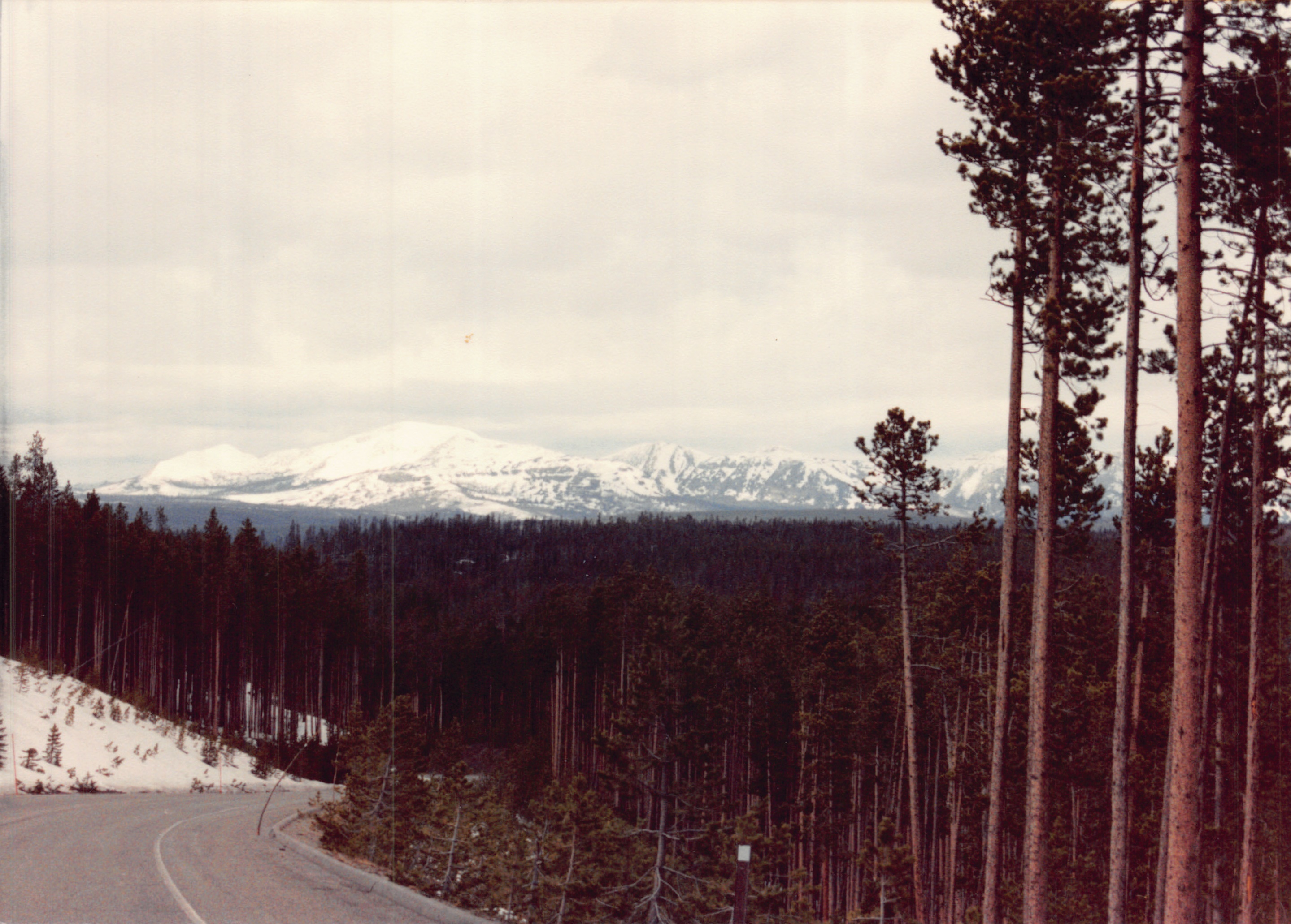 1990_0320.jpg