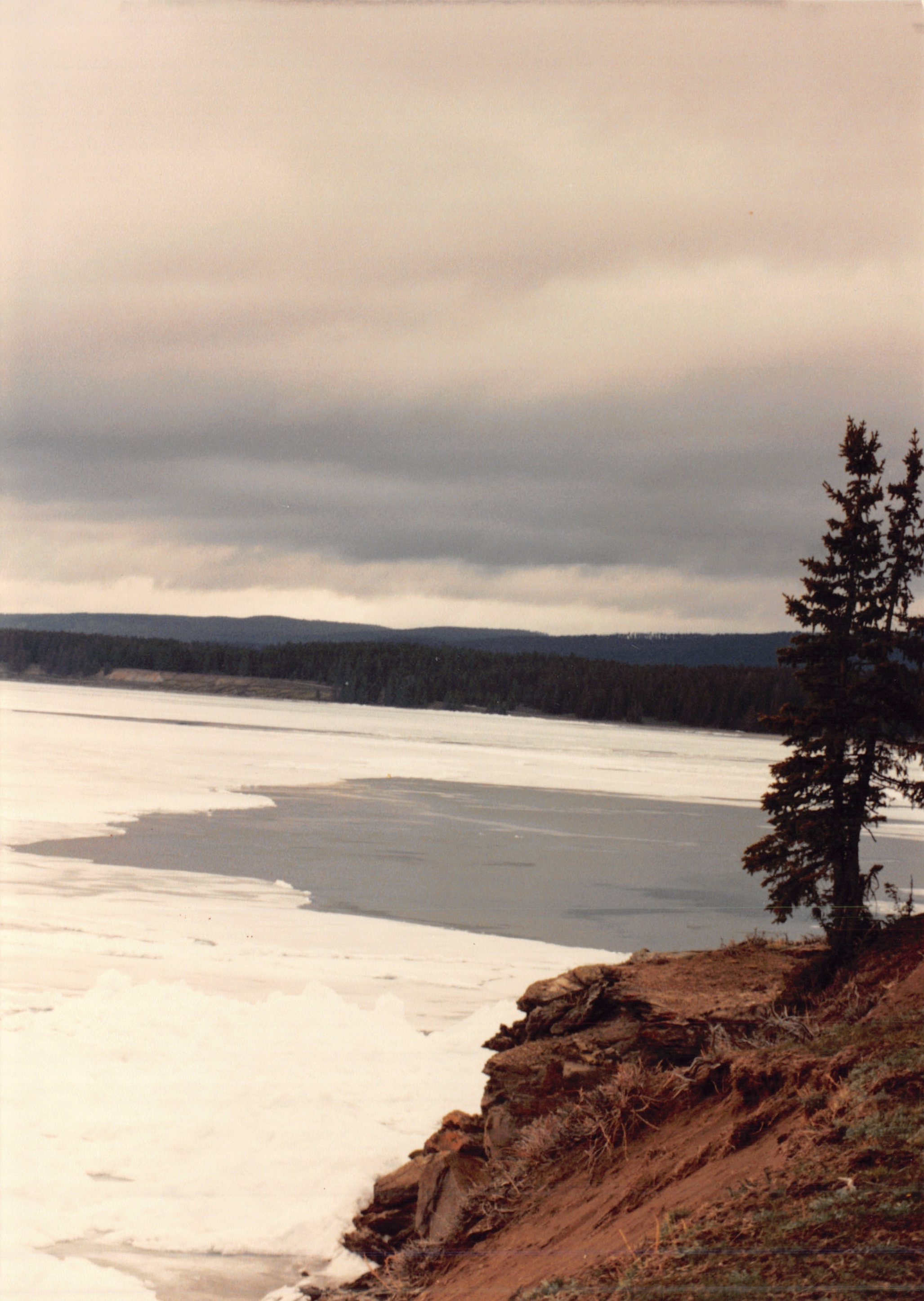 1990_0355.jpg