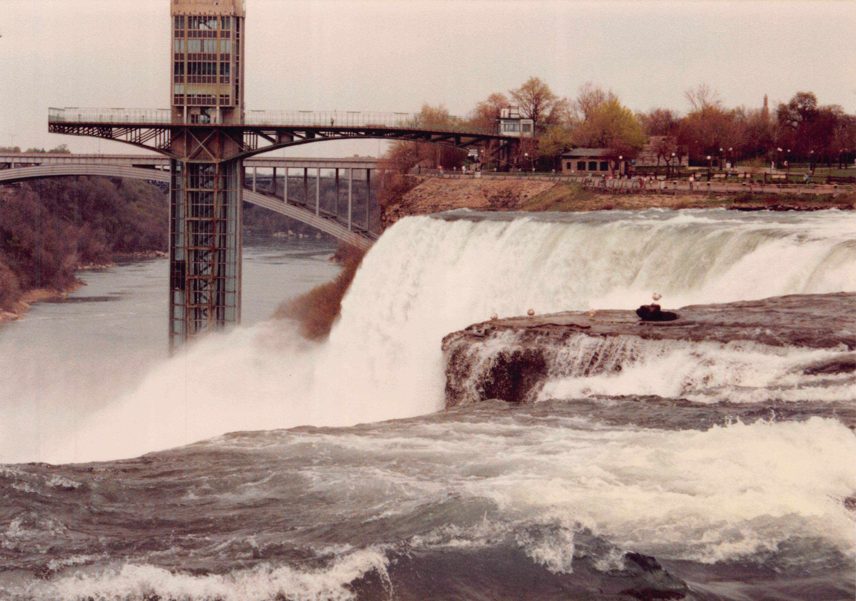 1991a_0768.jpg