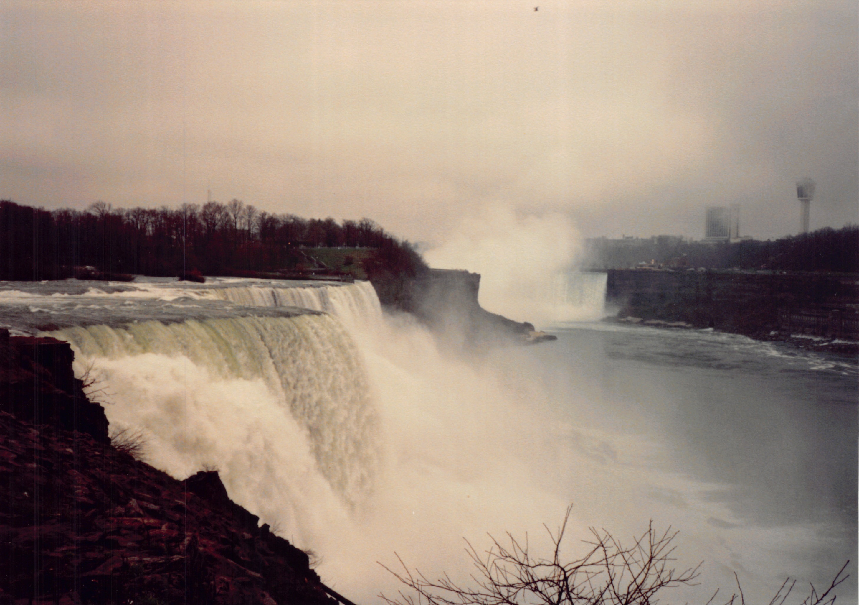 1991a_0794.jpg