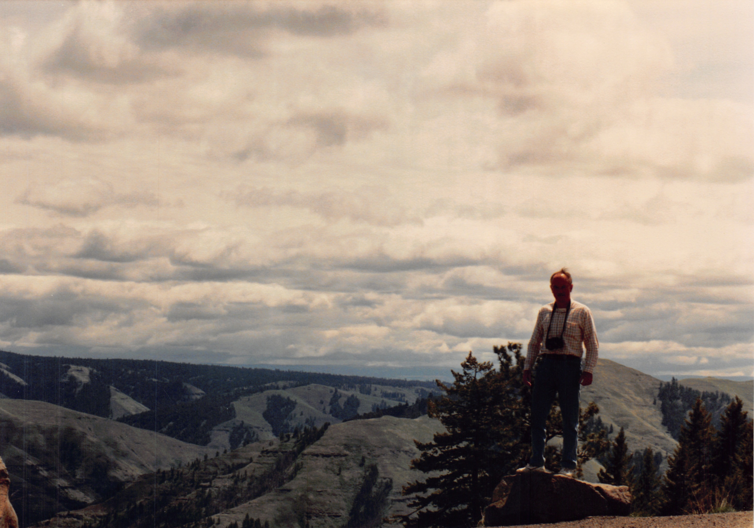1991a_0893.jpg