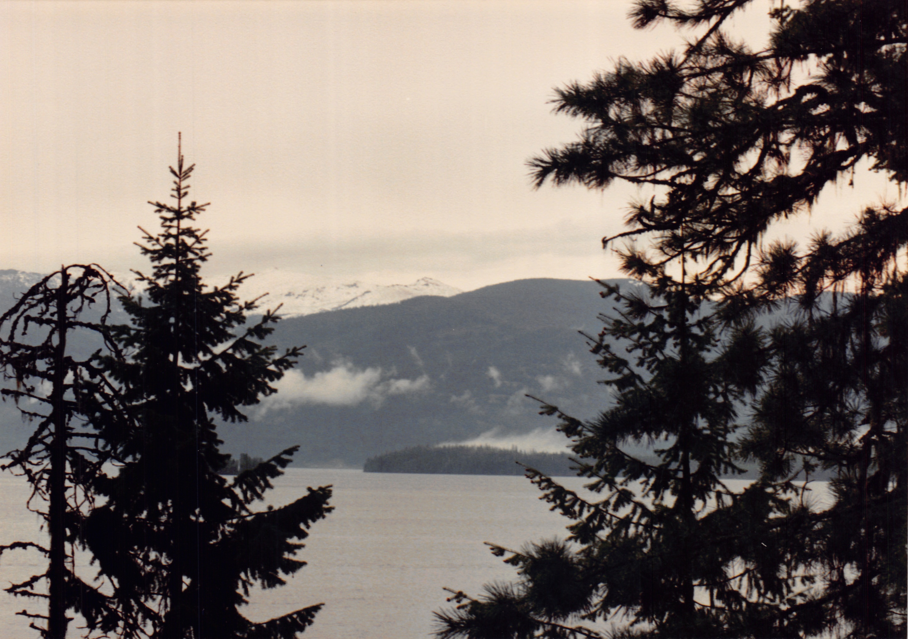 1991a_0897.jpg