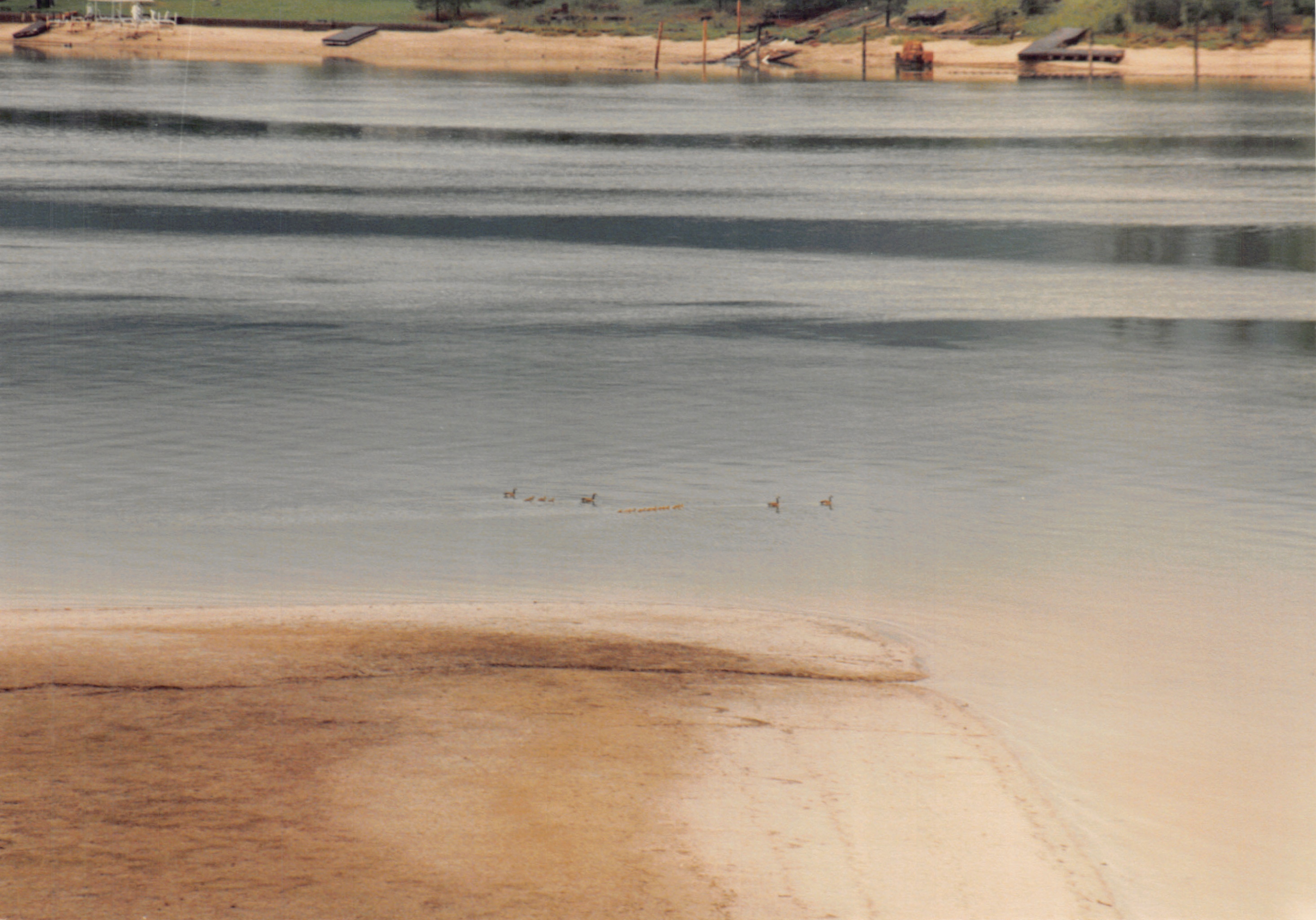 1991a_0903.jpg