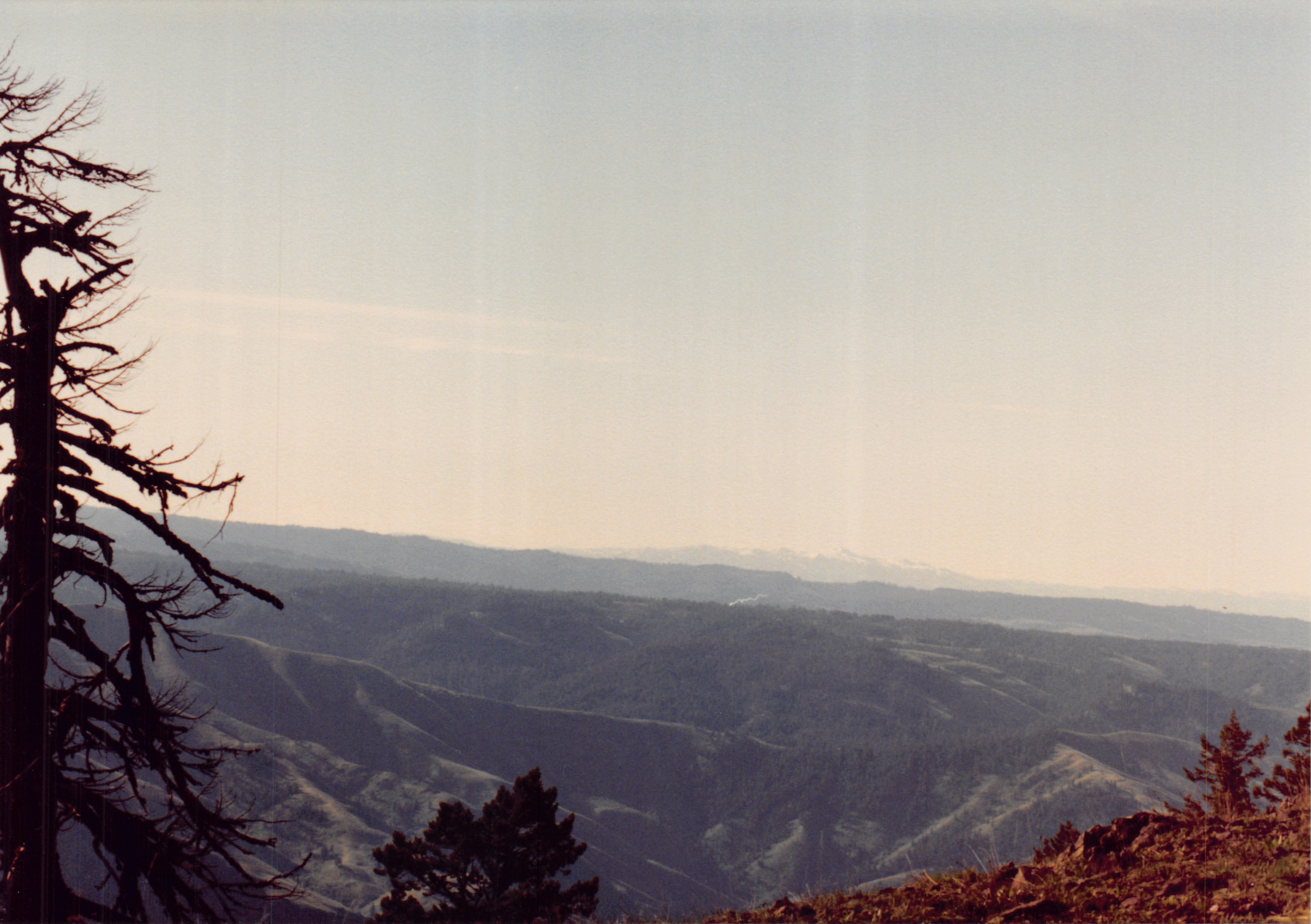 1991a_0910.jpg