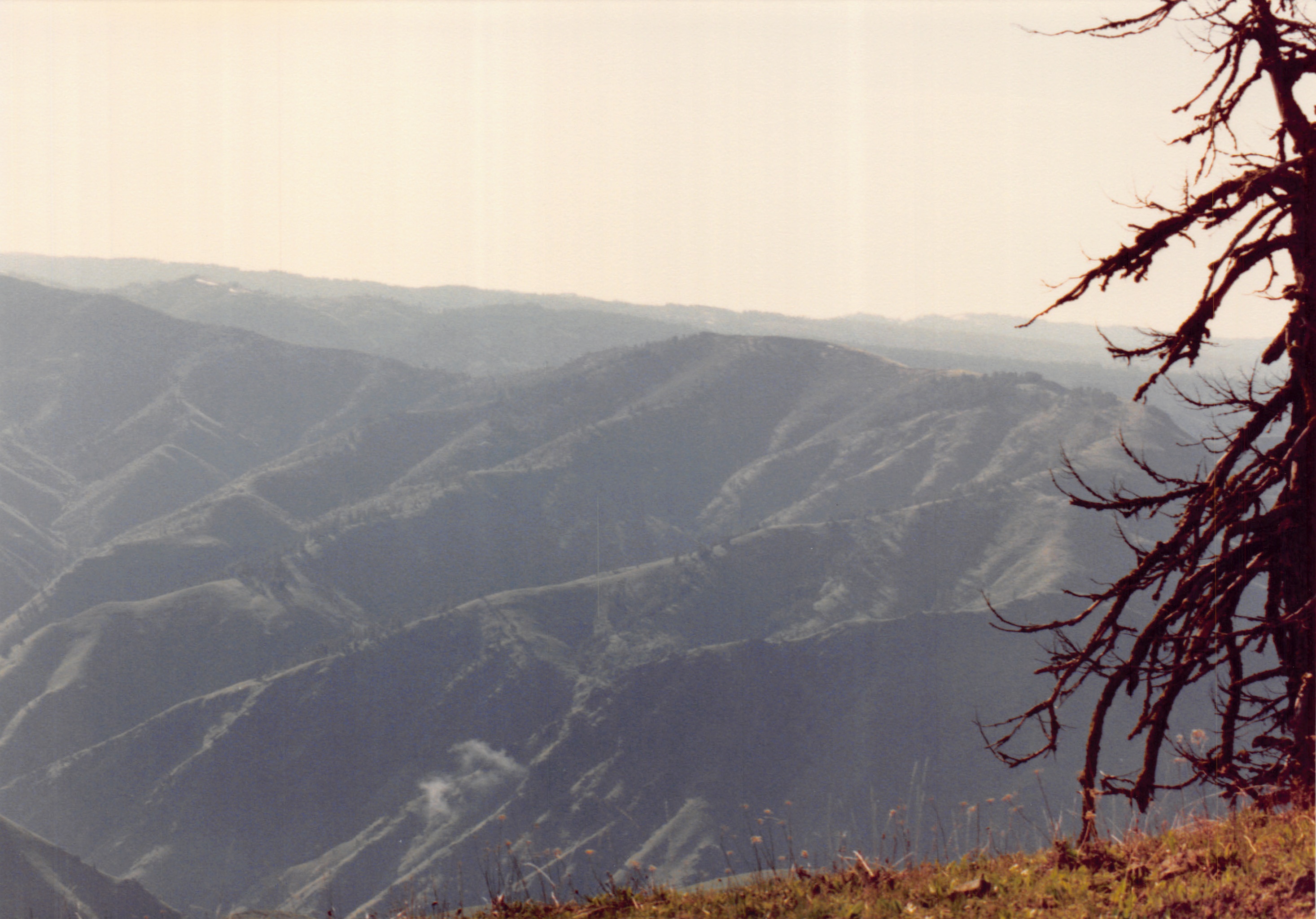 1991a_0911.jpg
