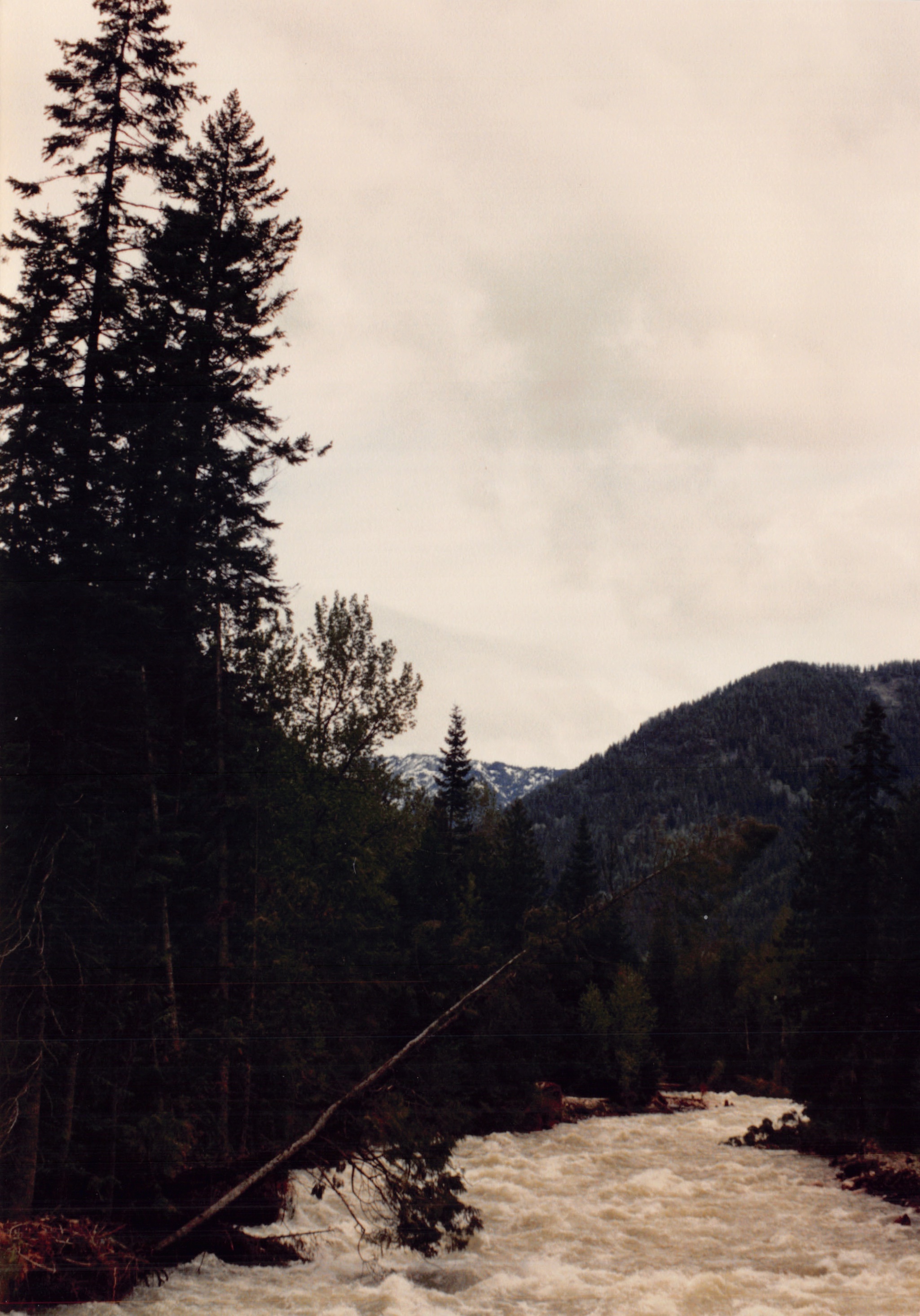 1991a_0914.jpg