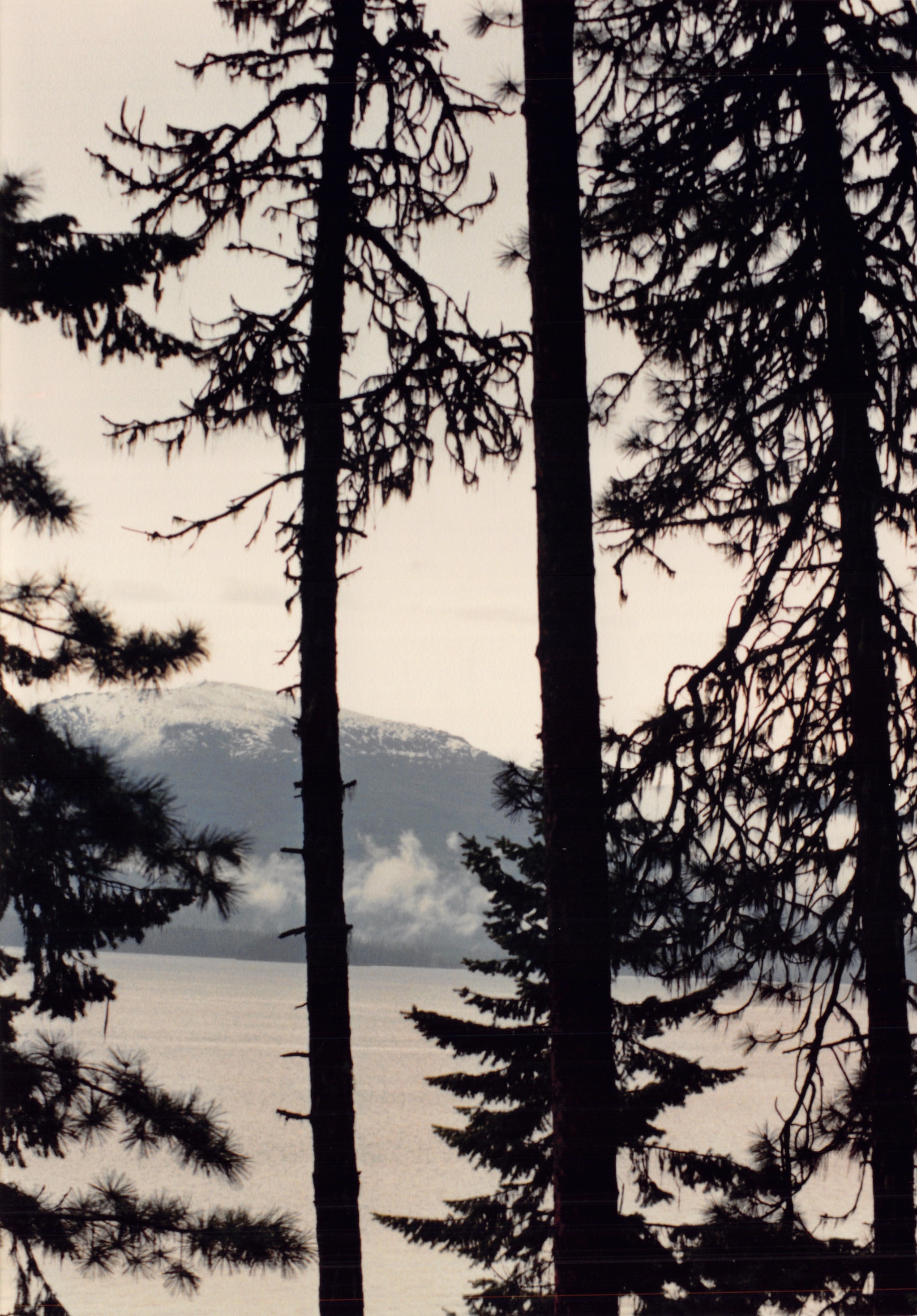 1991a_0916.jpg