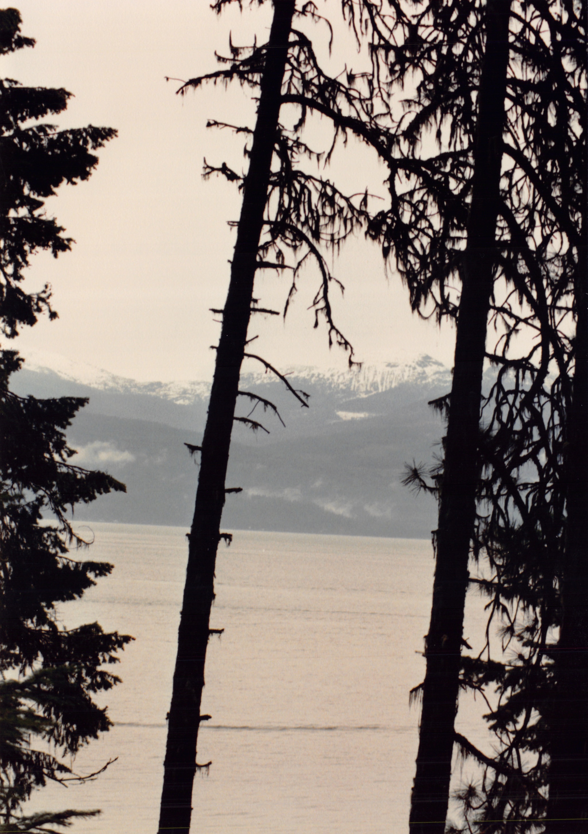 1991a_0918.jpg