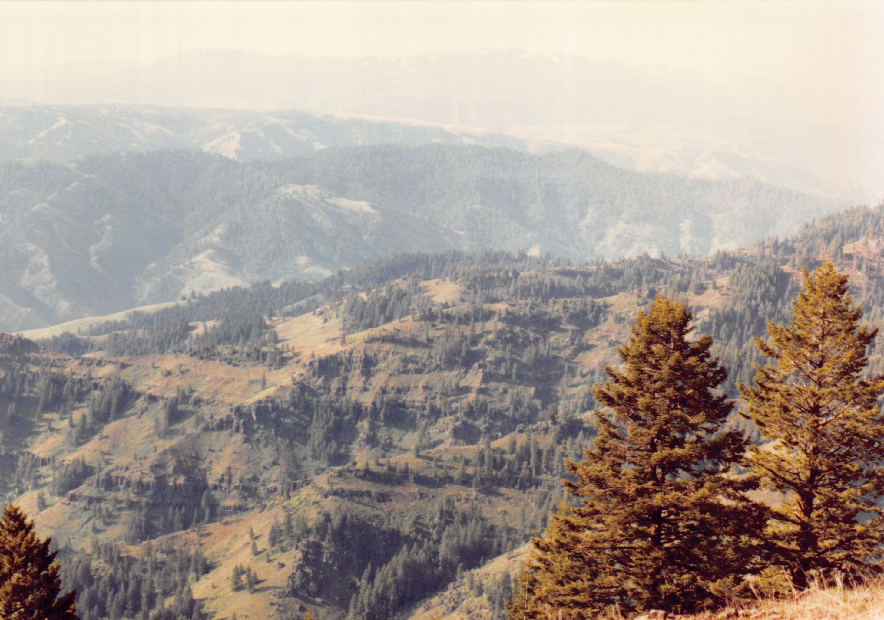 1991a_0925.jpg