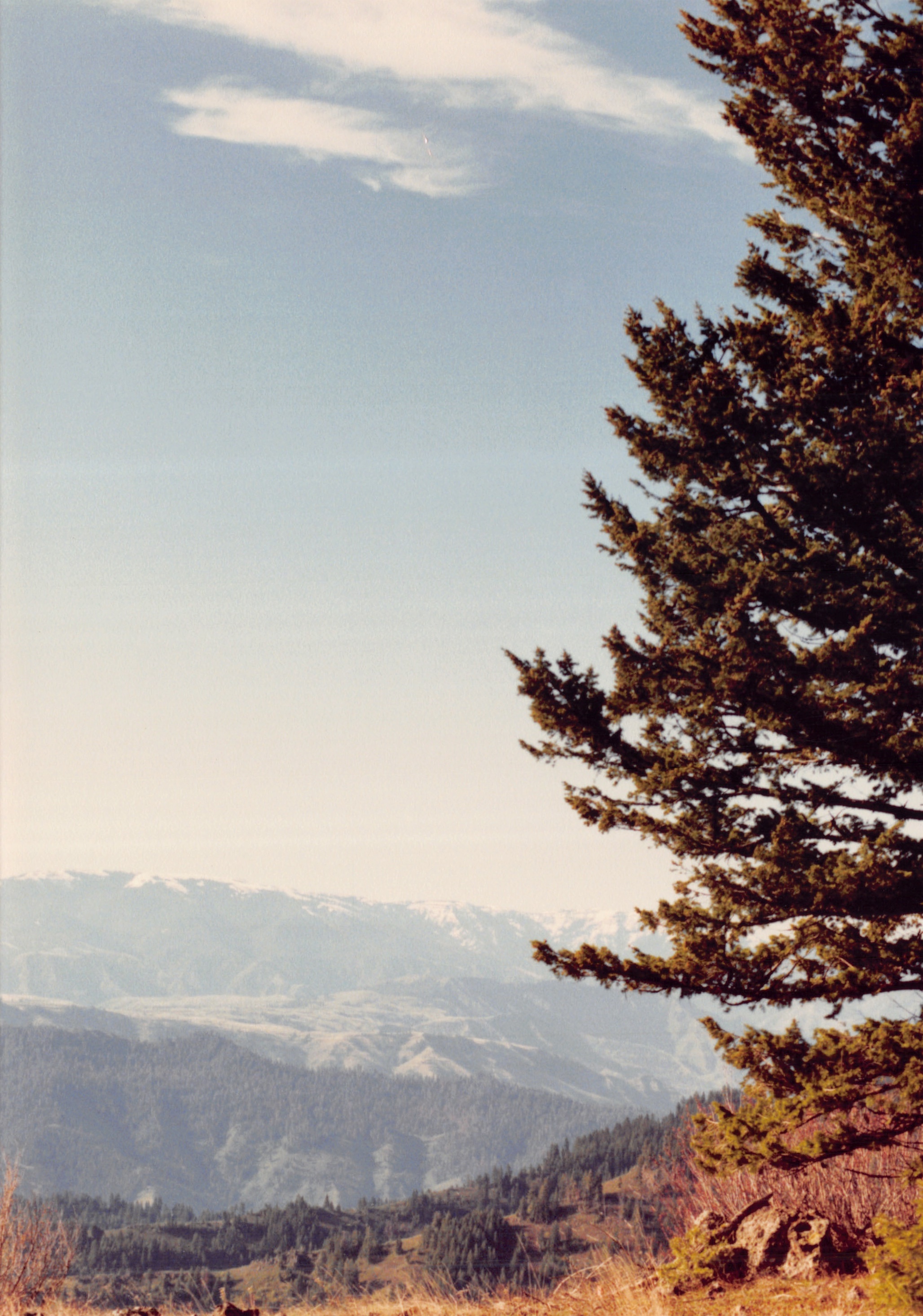 1991a_0927.jpg