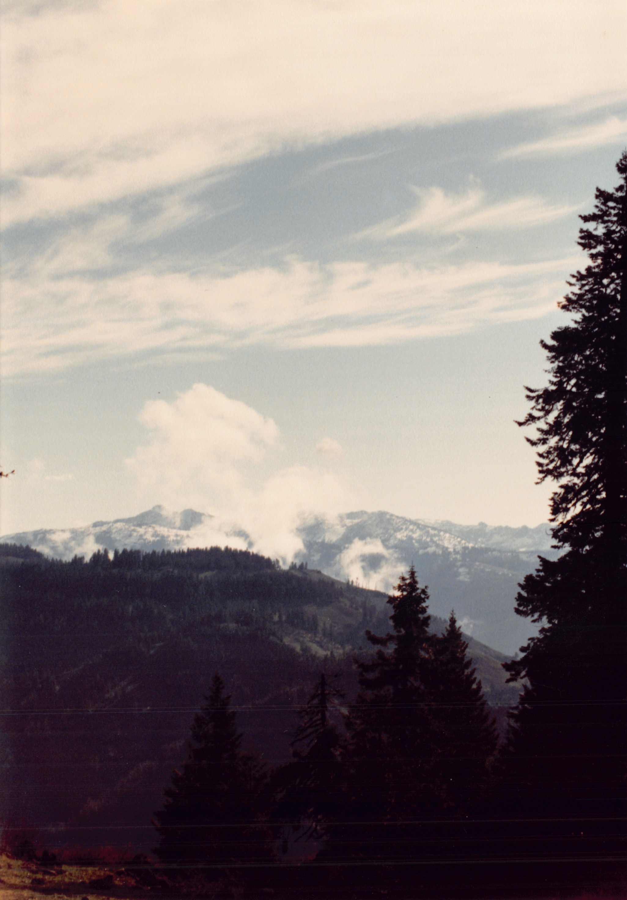 1991a_0929.jpg
