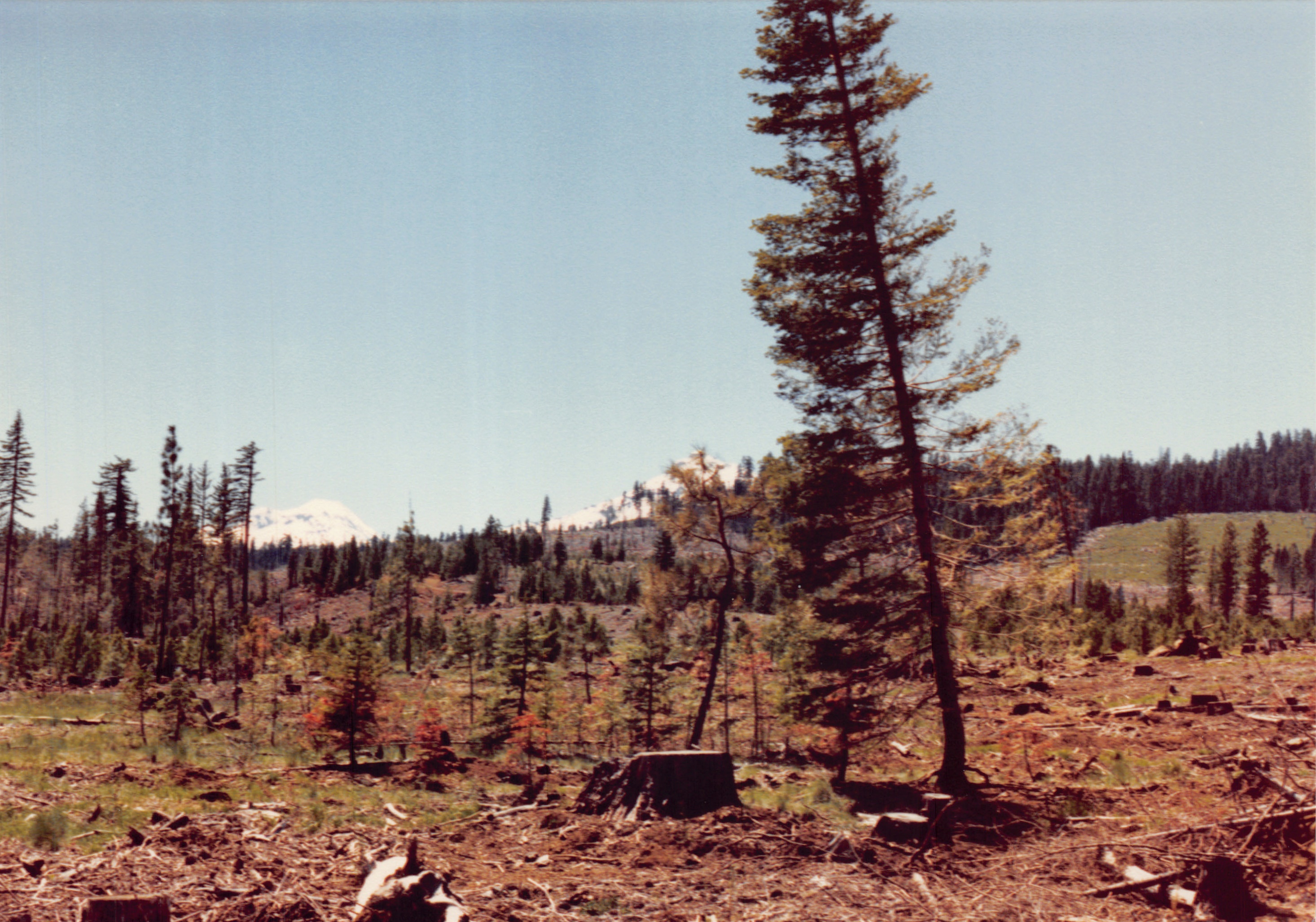 1991a_0931.jpg