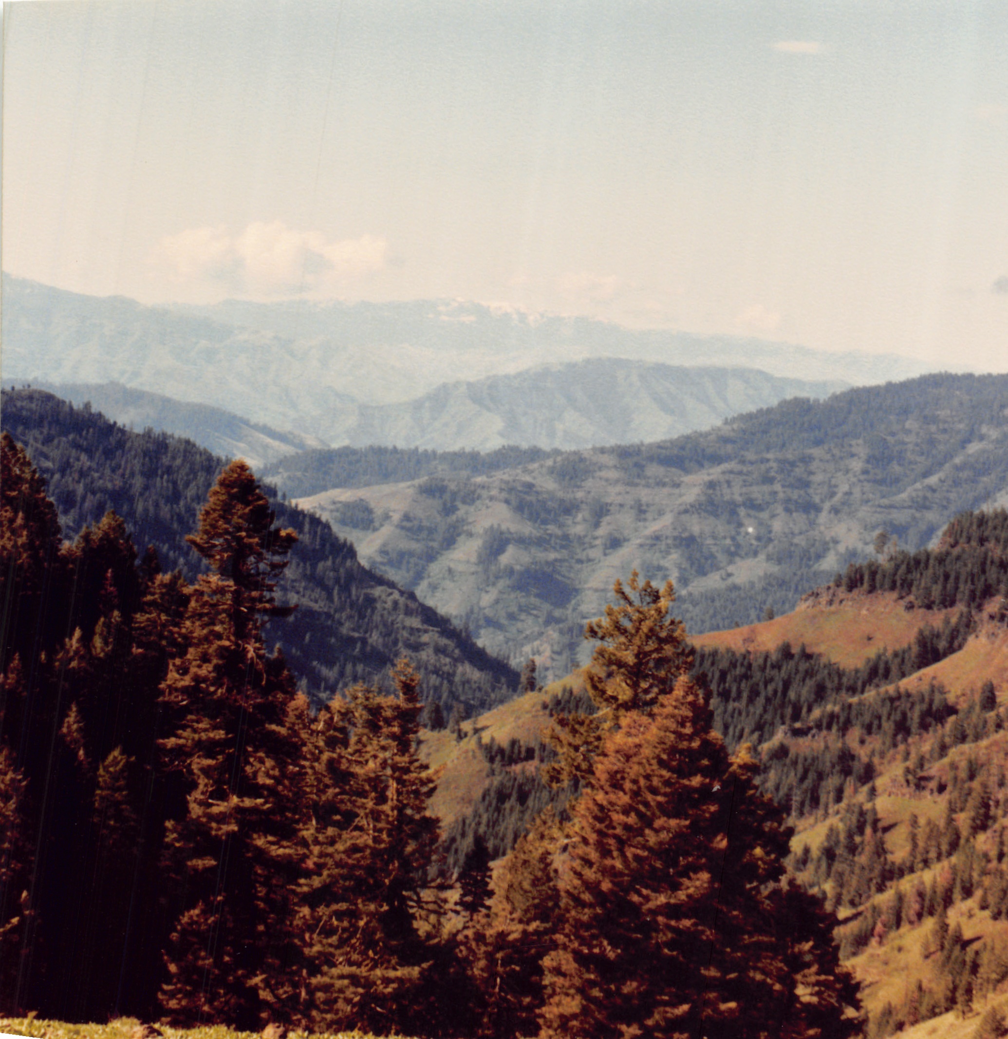 1991a_0933.jpg