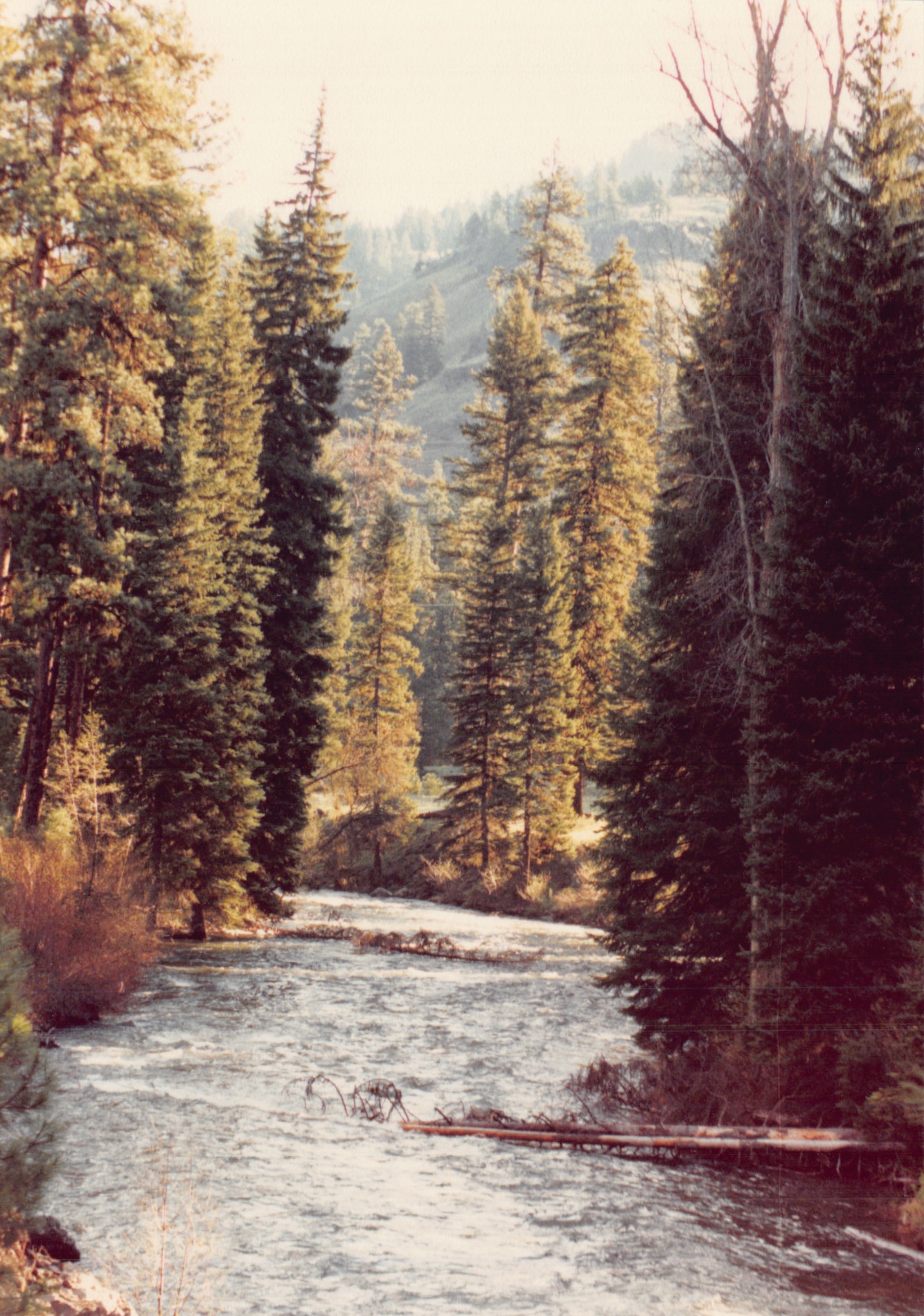 1991a_0937.jpg