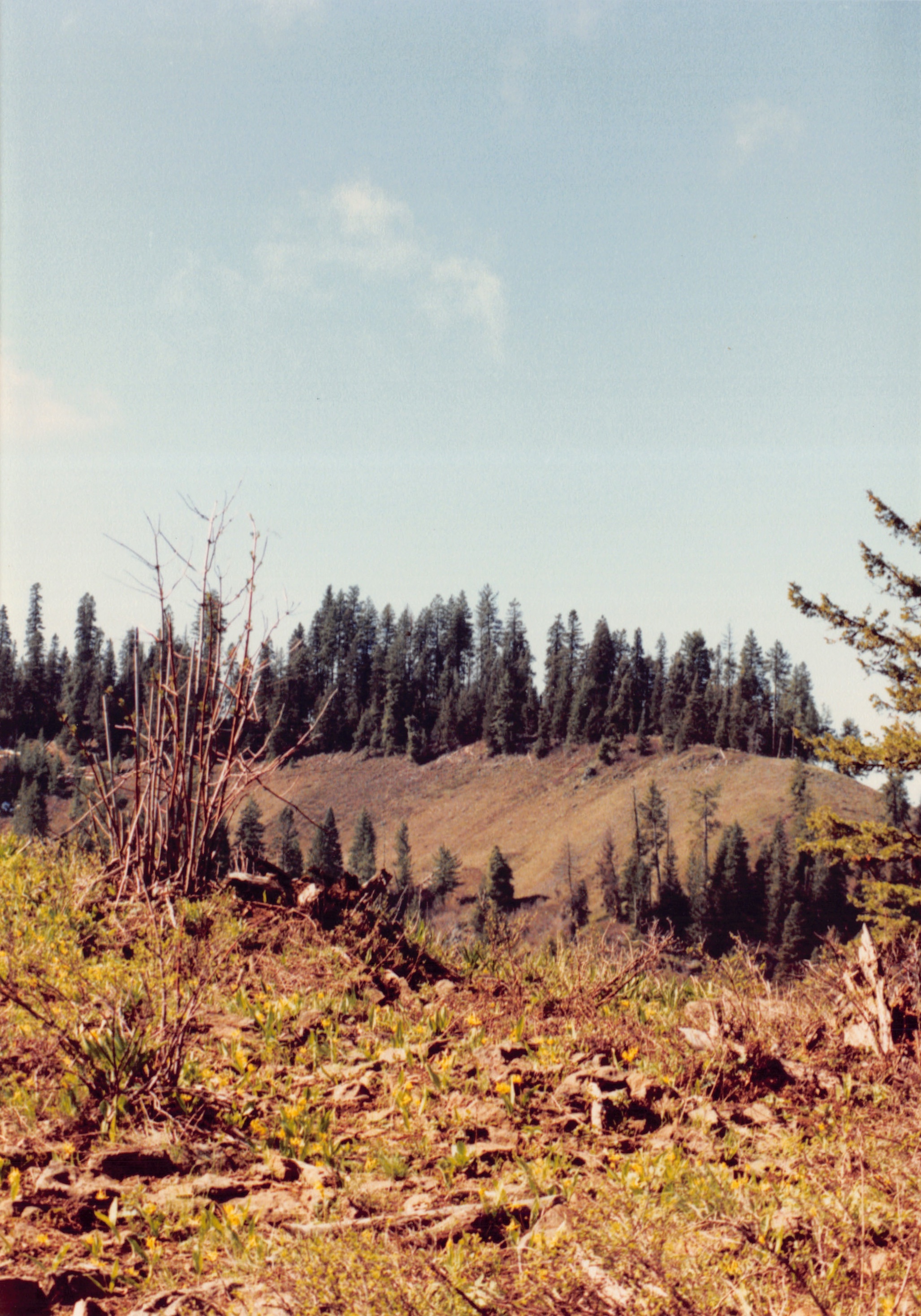 1991a_0959.jpg