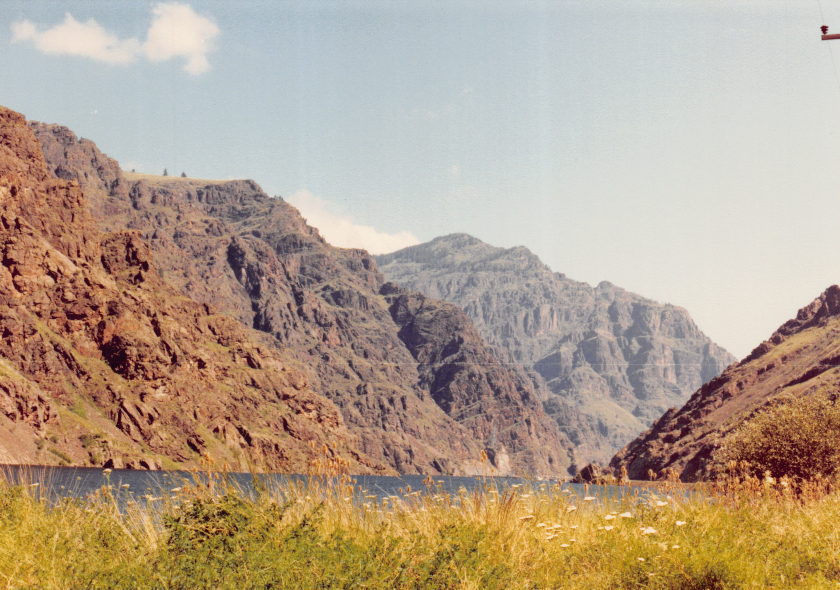 1991a_0962.jpg