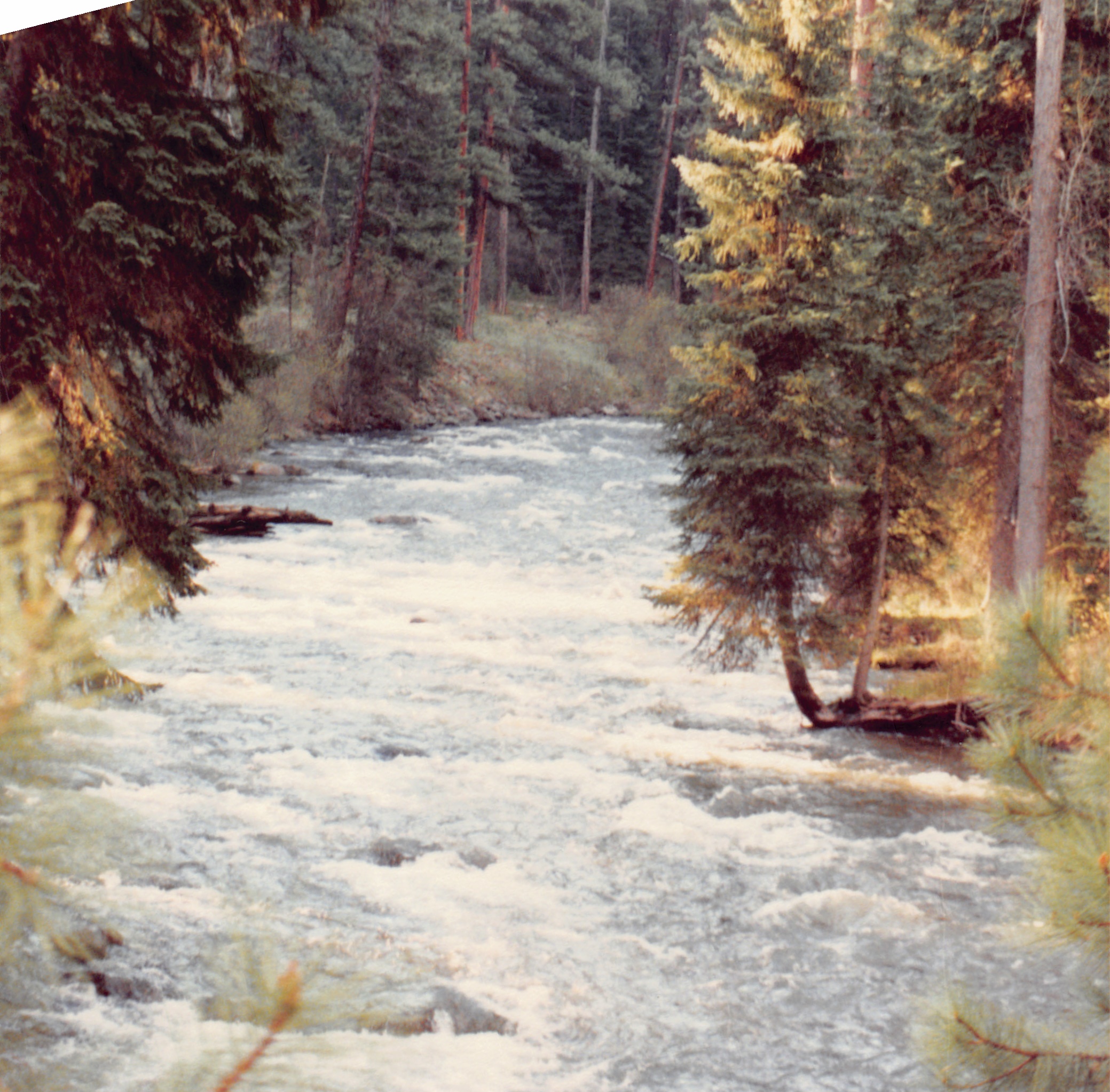 1991a_0966.jpg