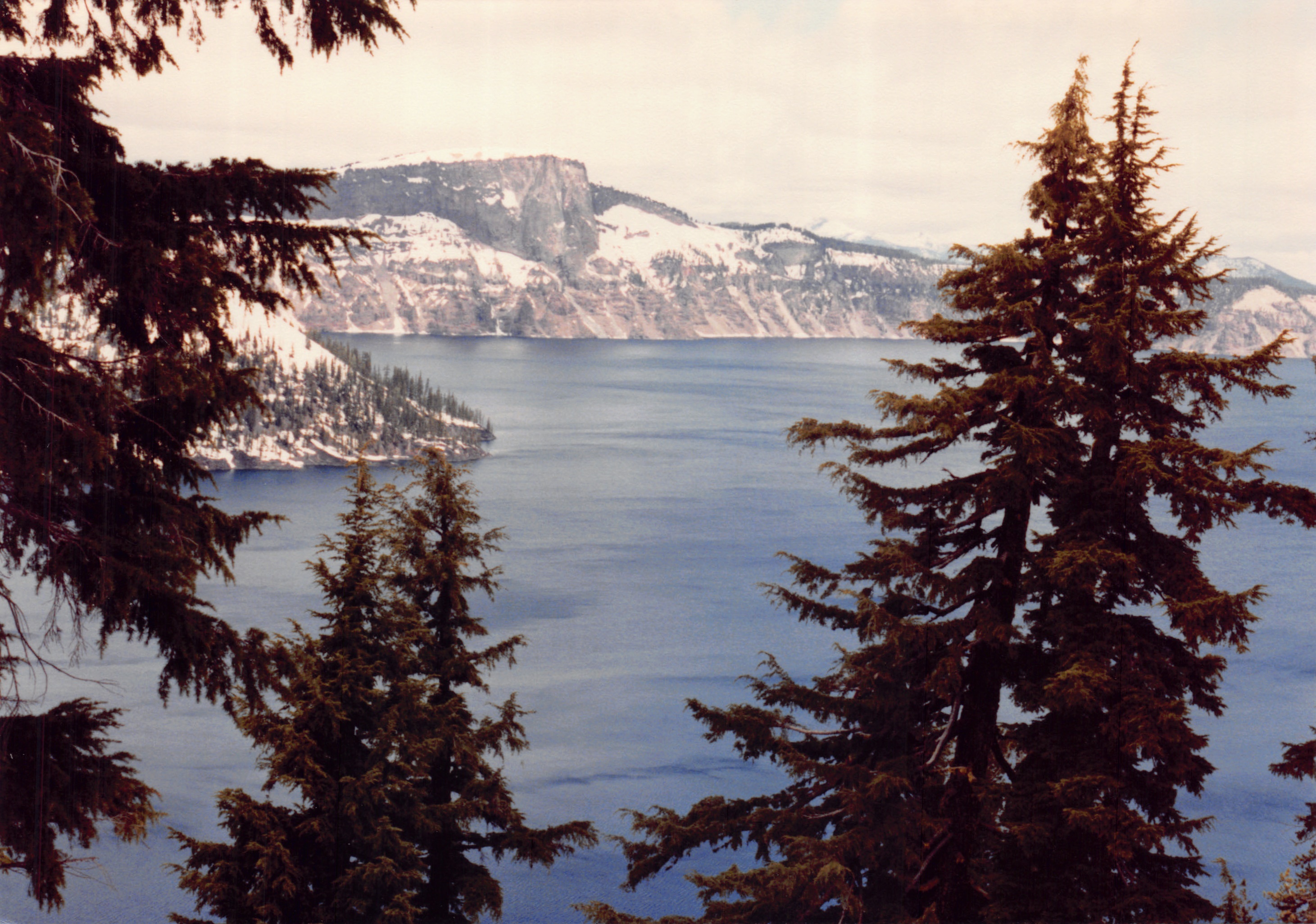 1991a_0973.jpg