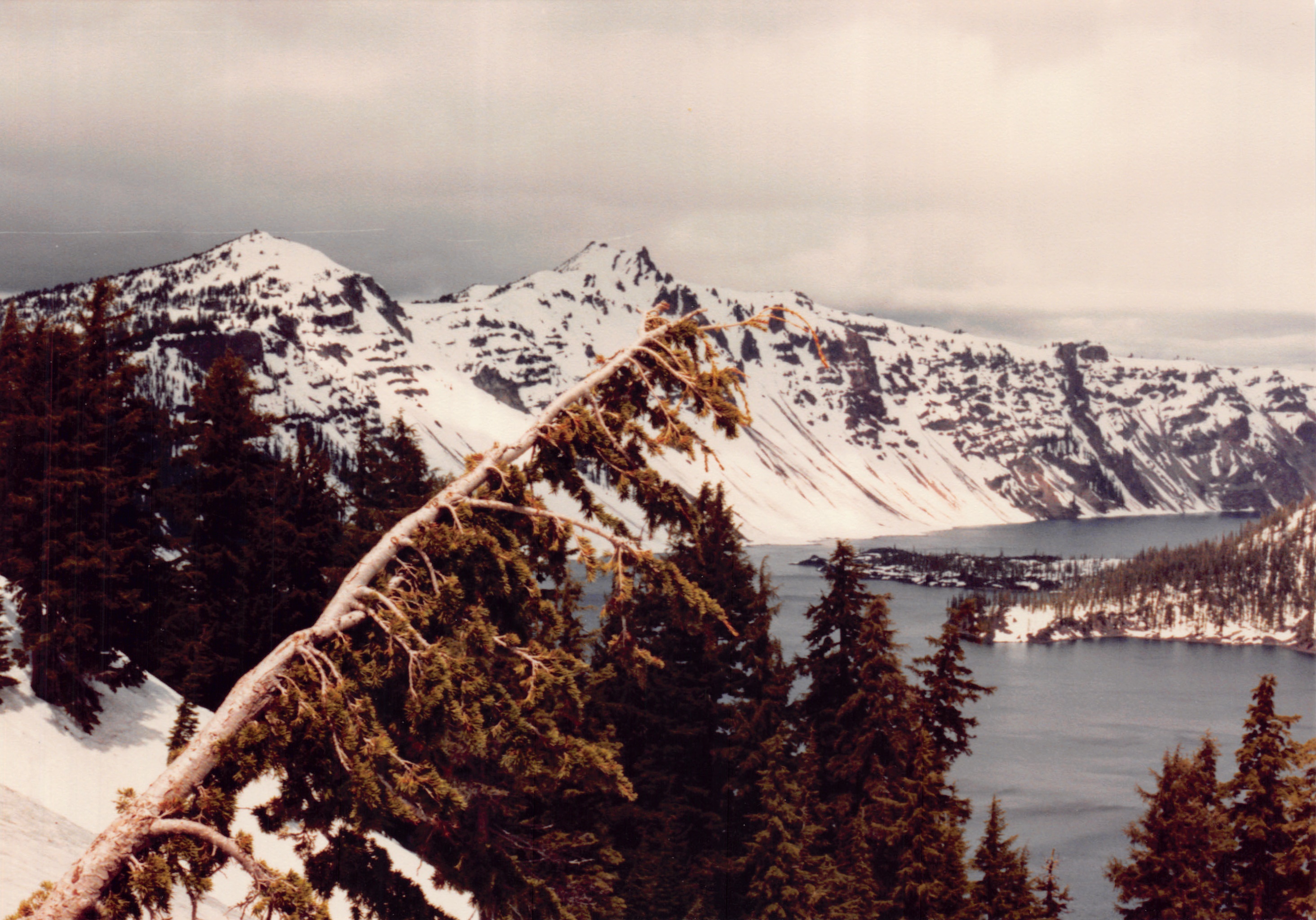 1991a_0975.jpg