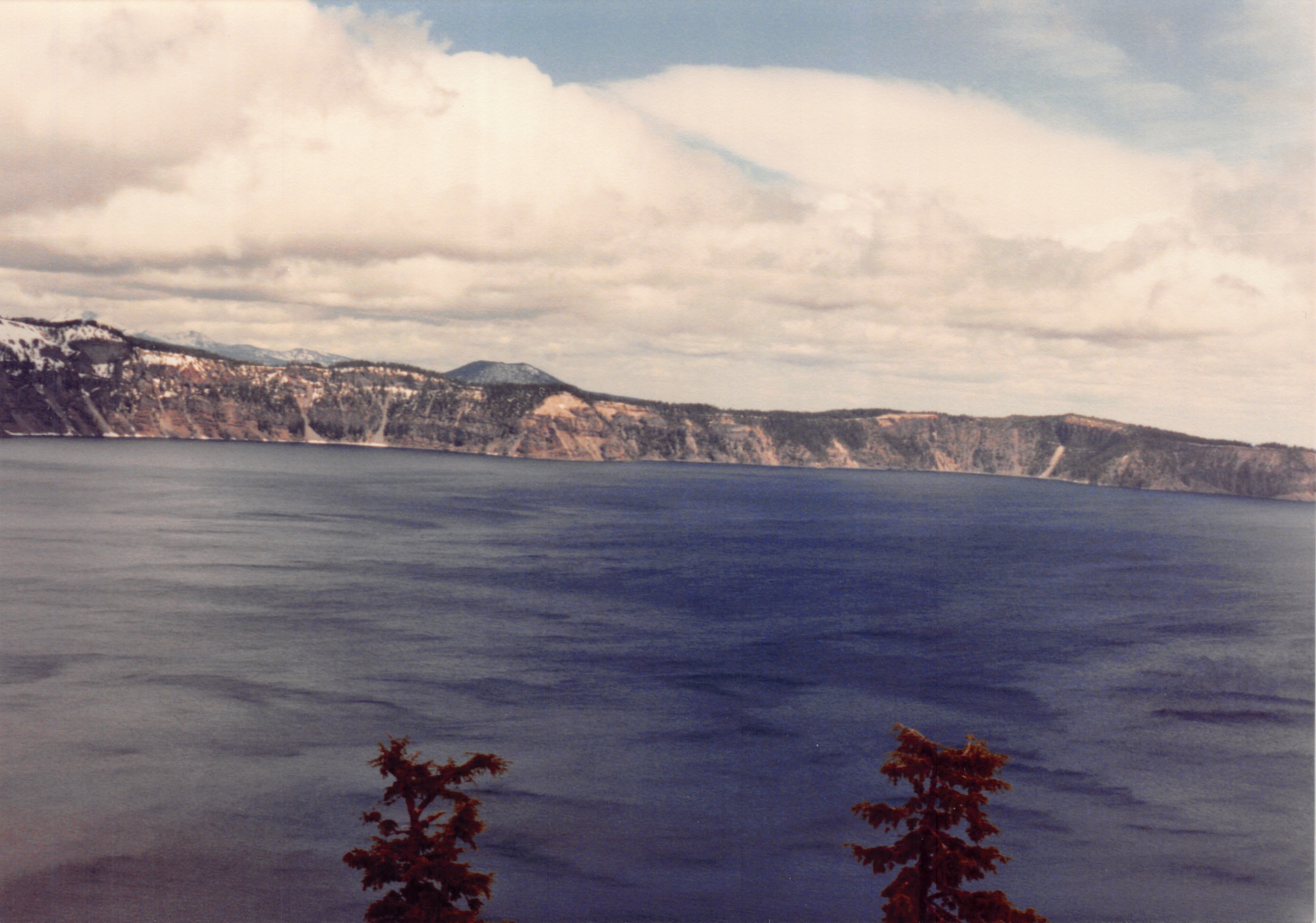 1991a_0981.jpg