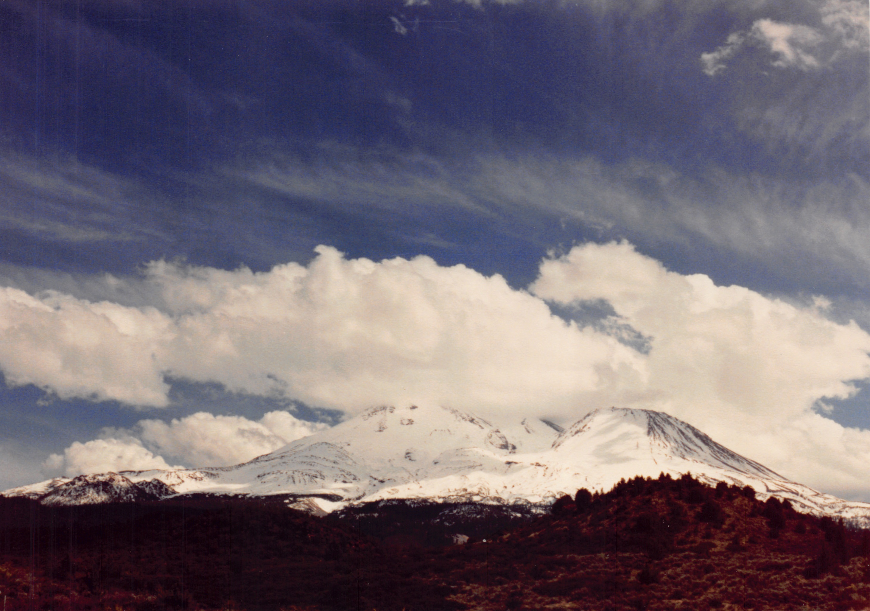 1991a_0985.jpg