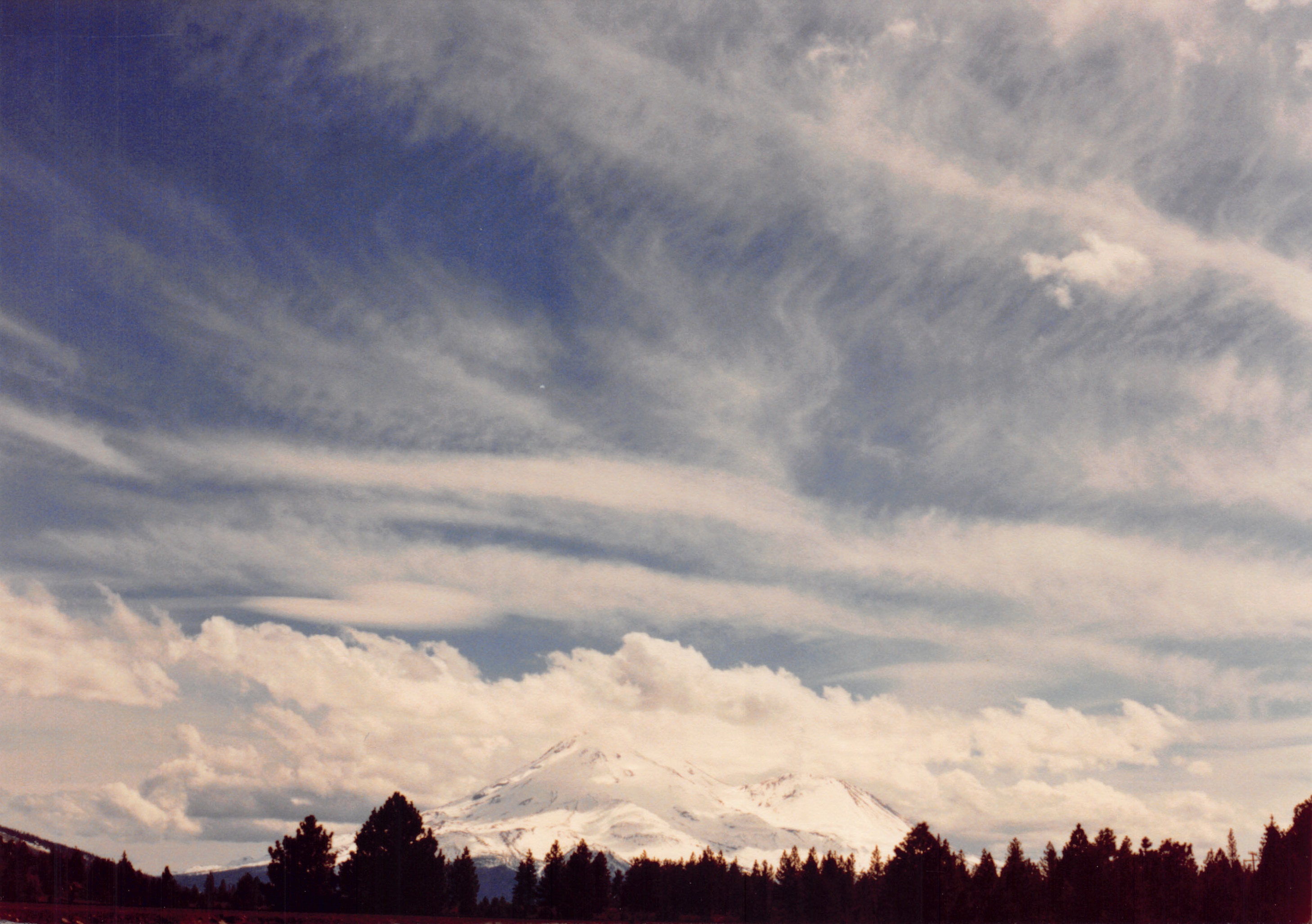 1991a_0996.jpg