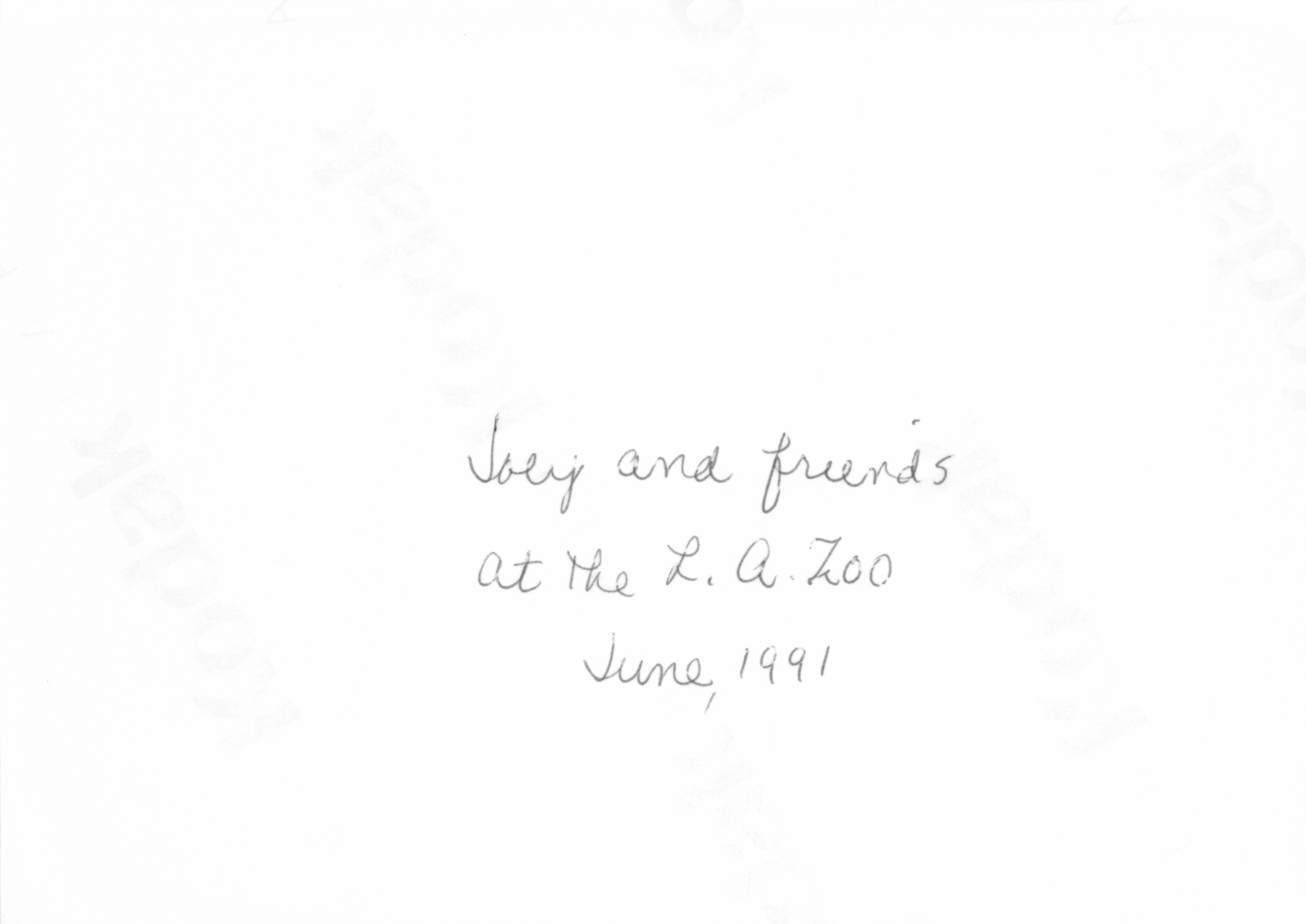 1991a_1007.jpg