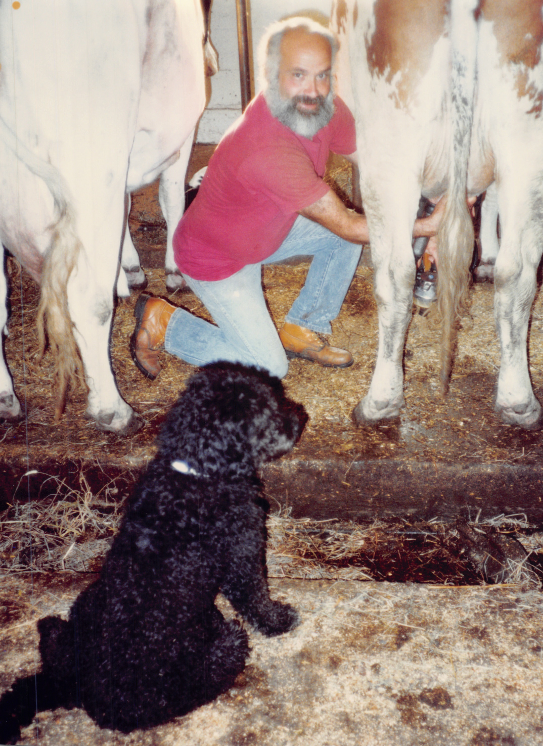 1991a_1012.jpg