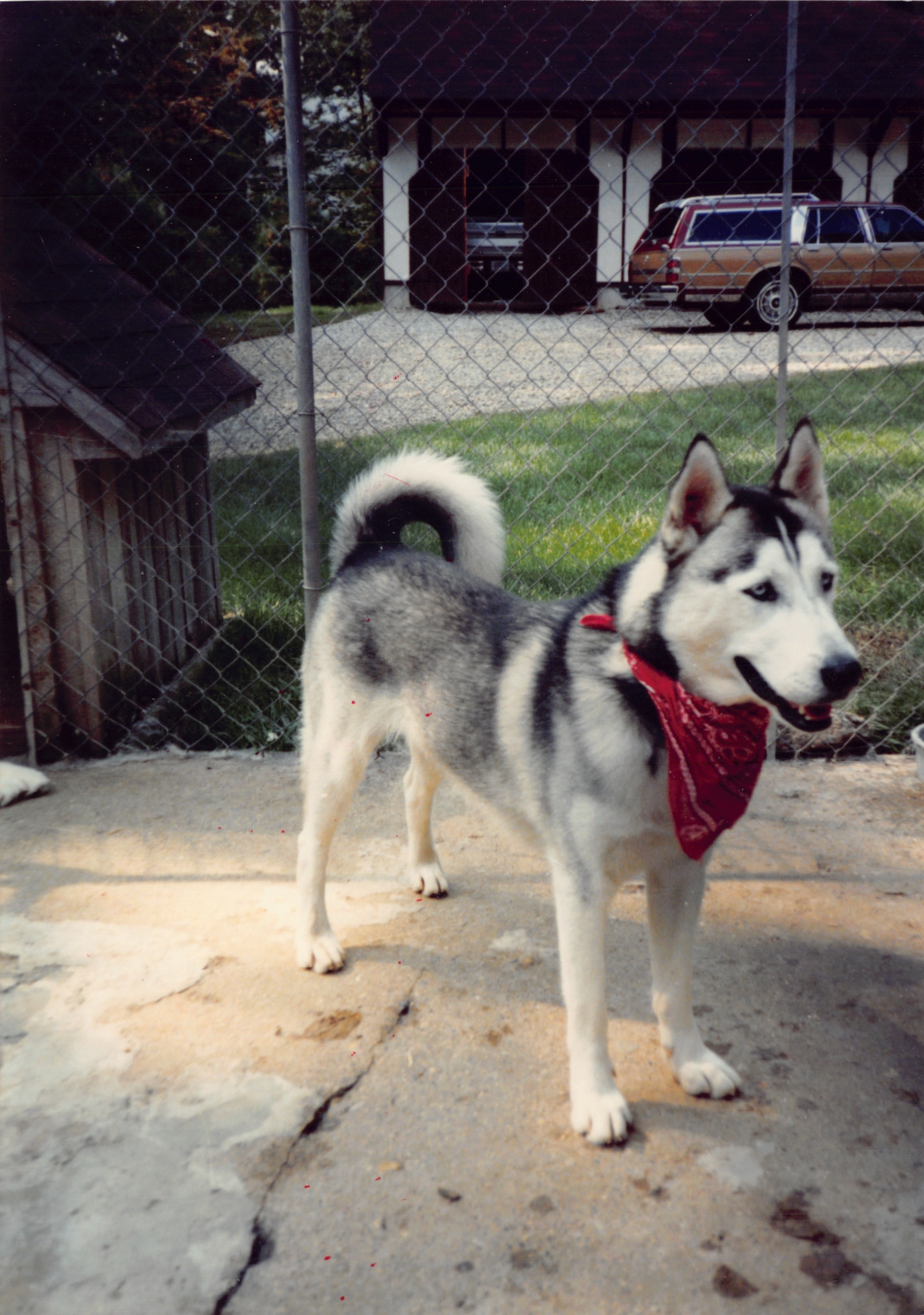 1991a_1083.jpg