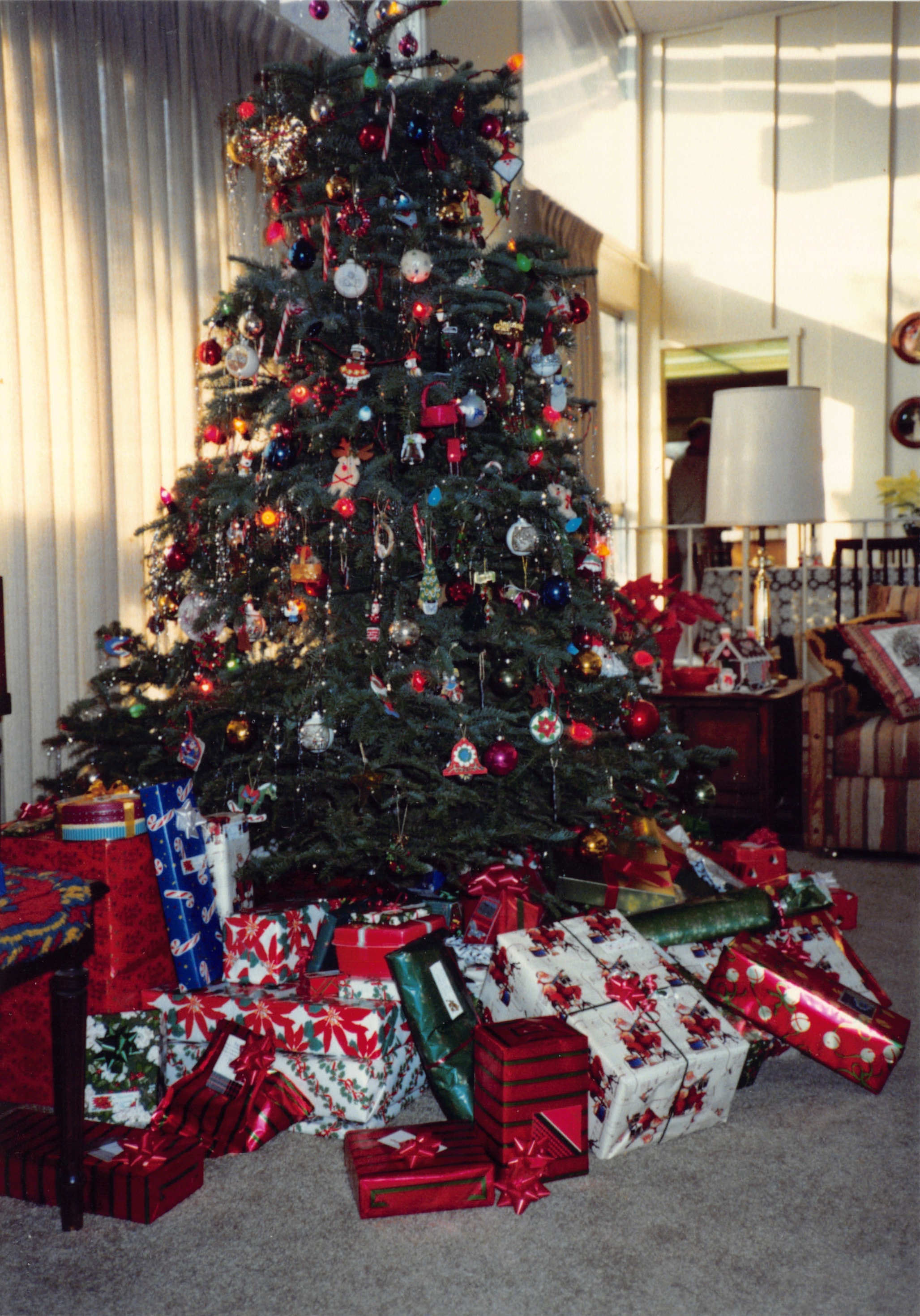 1991b_004.jpg
