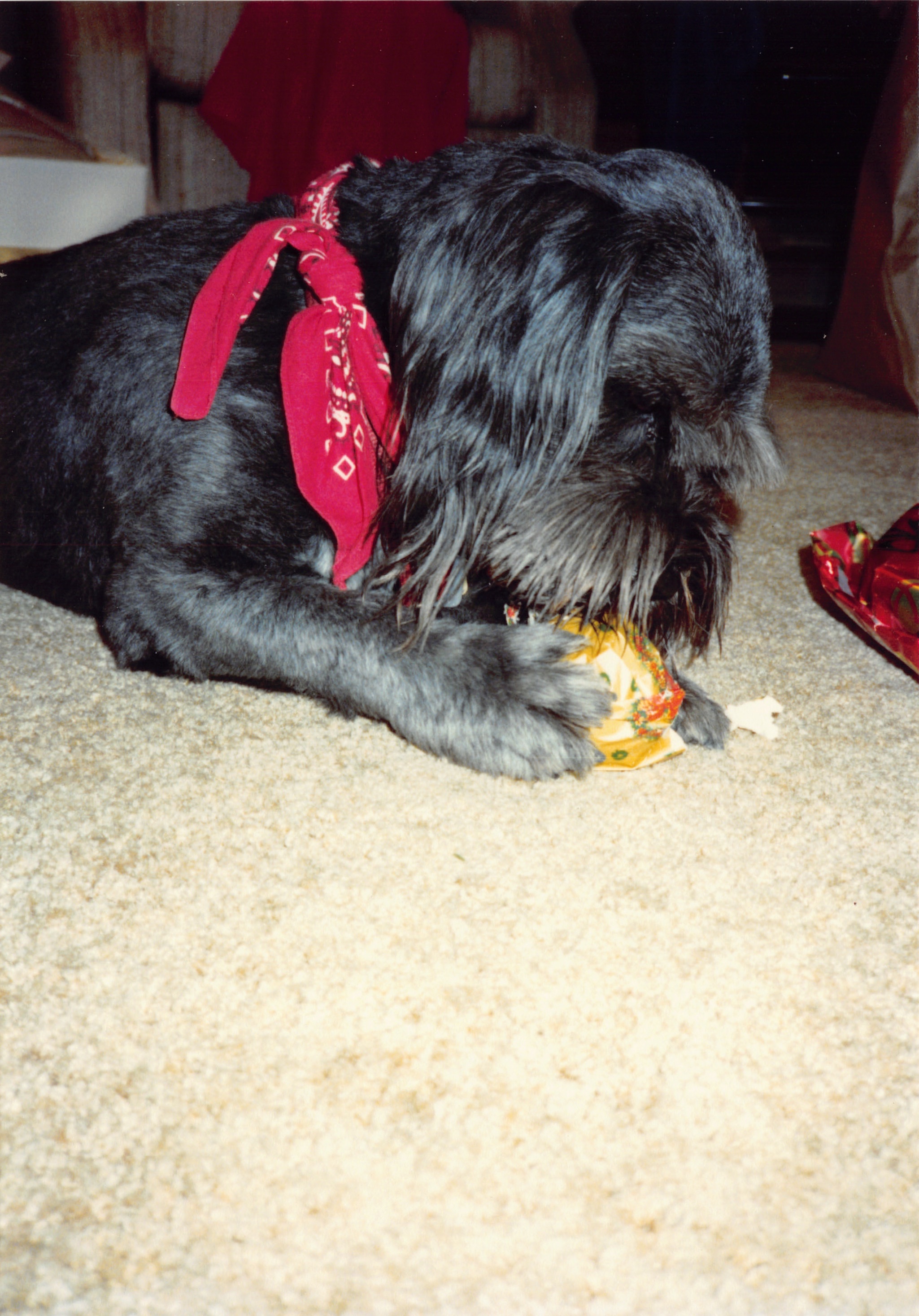 1991b_022.jpg