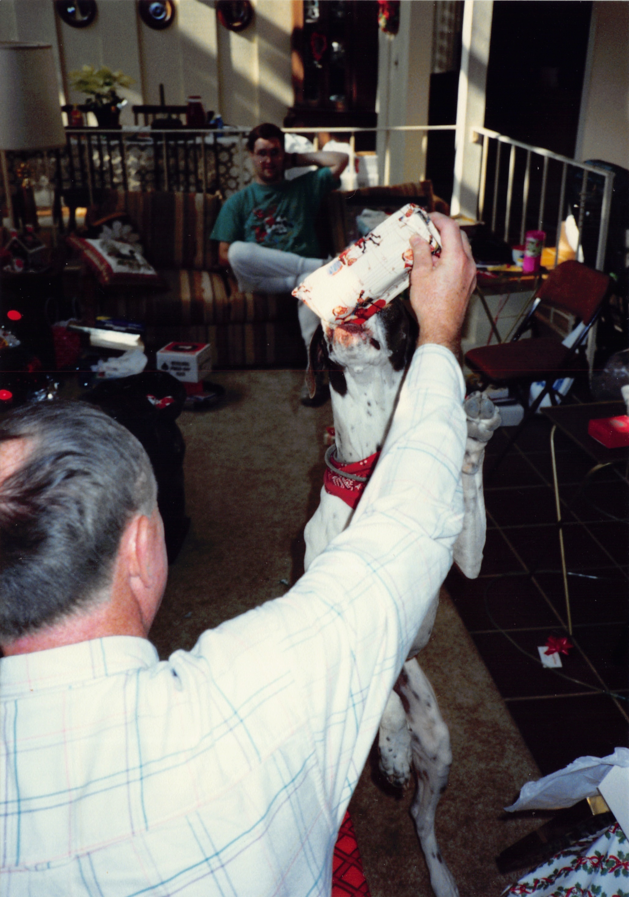 1991b_032.jpg