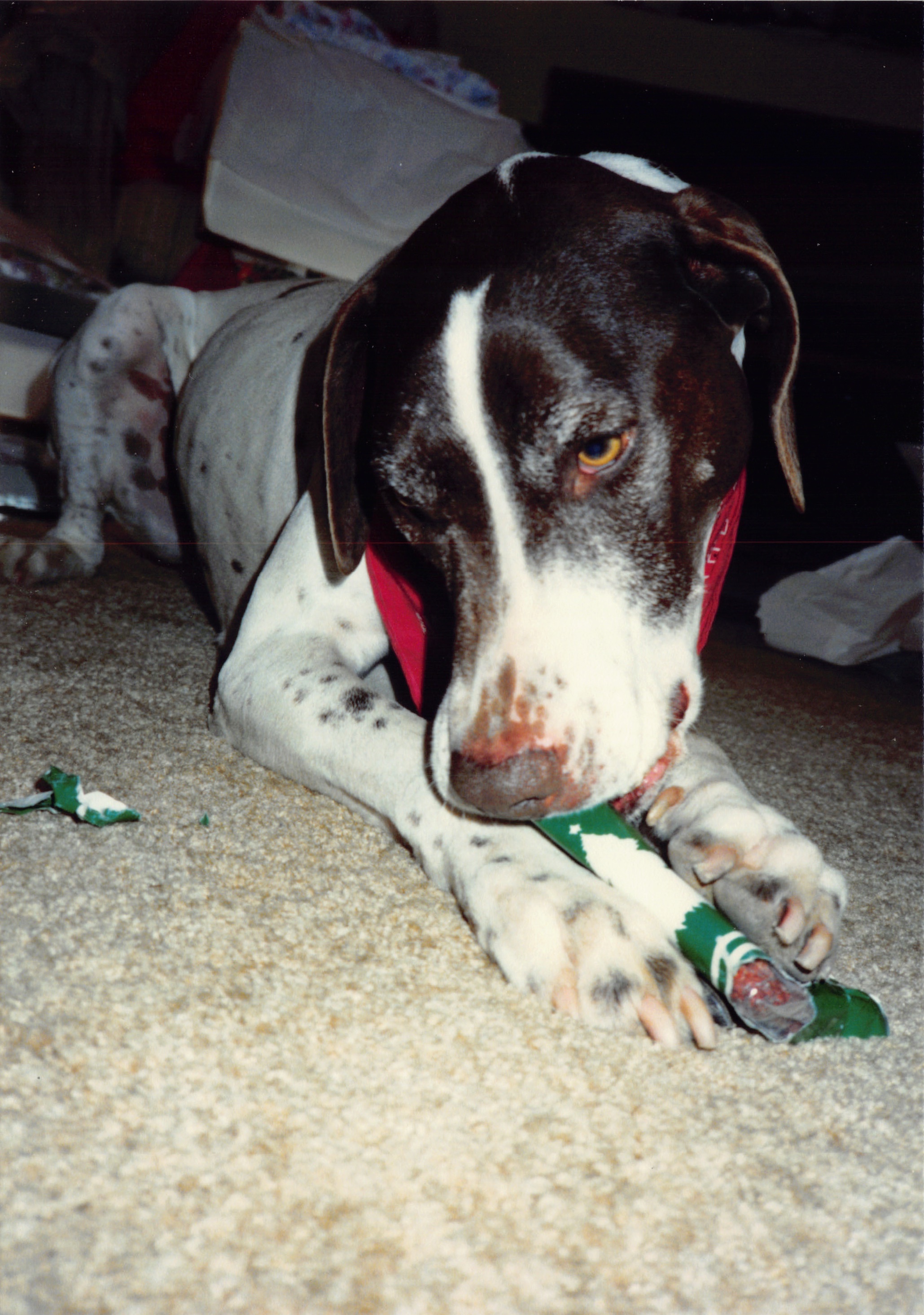 1991b_038.jpg