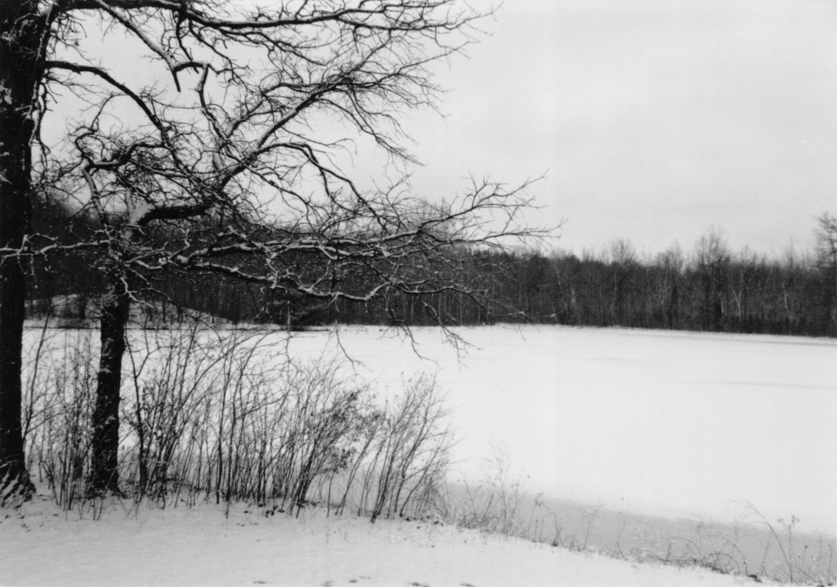 1992_180.jpg