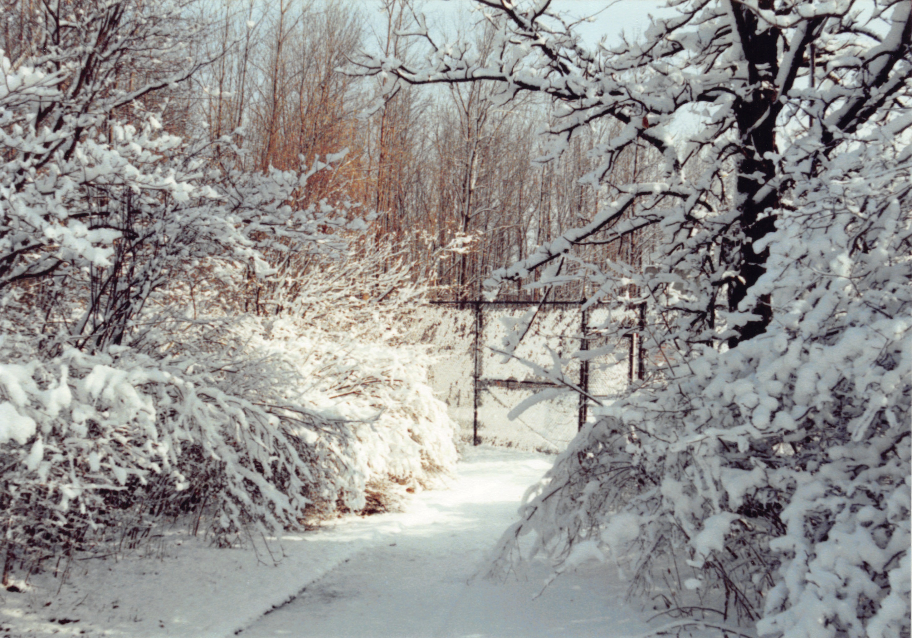 1992_184.jpg