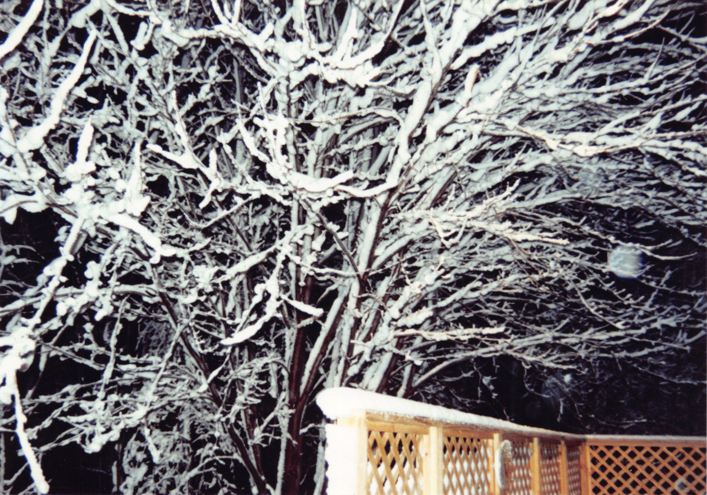 1992_188.jpg
