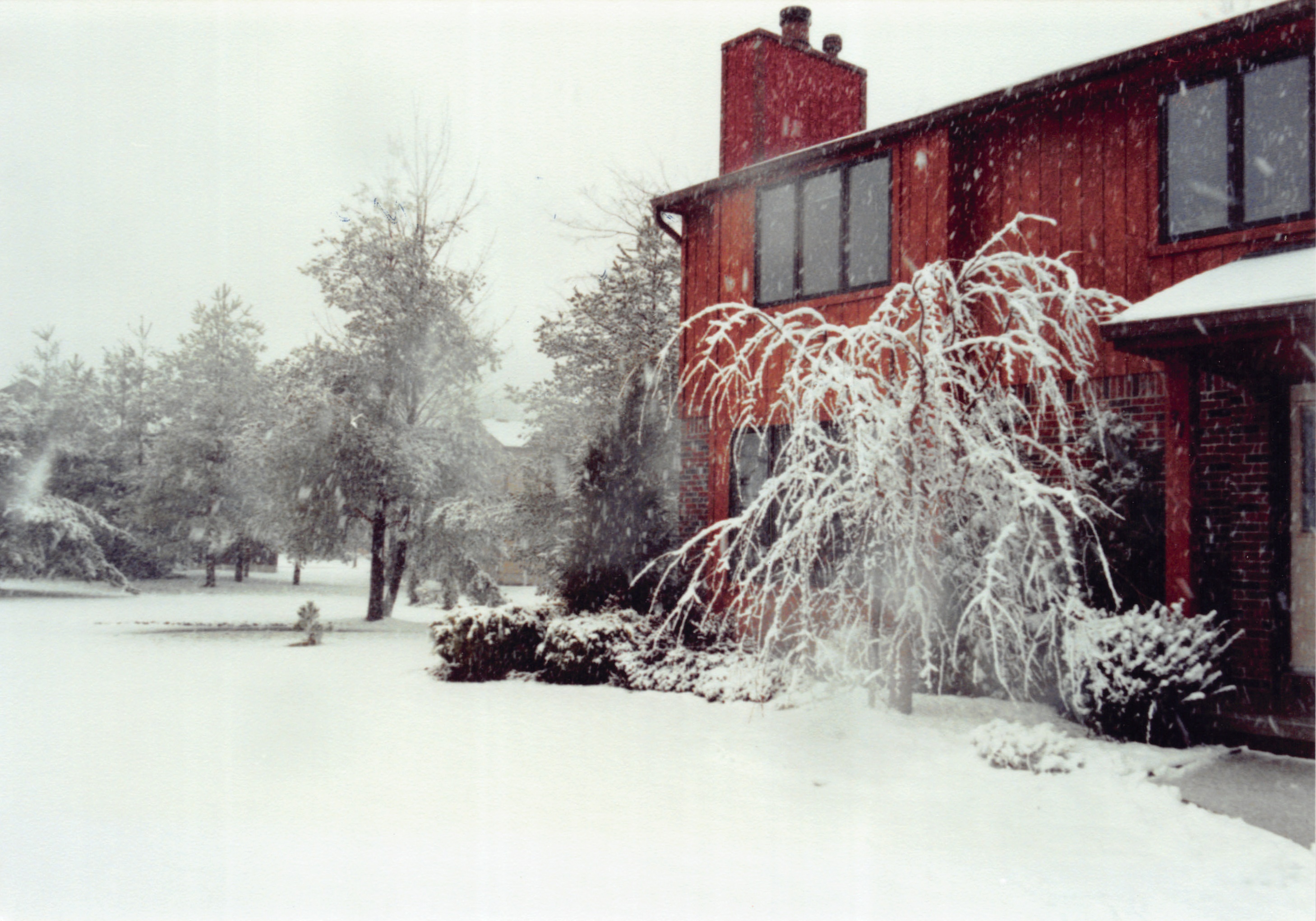 1992_202.jpg