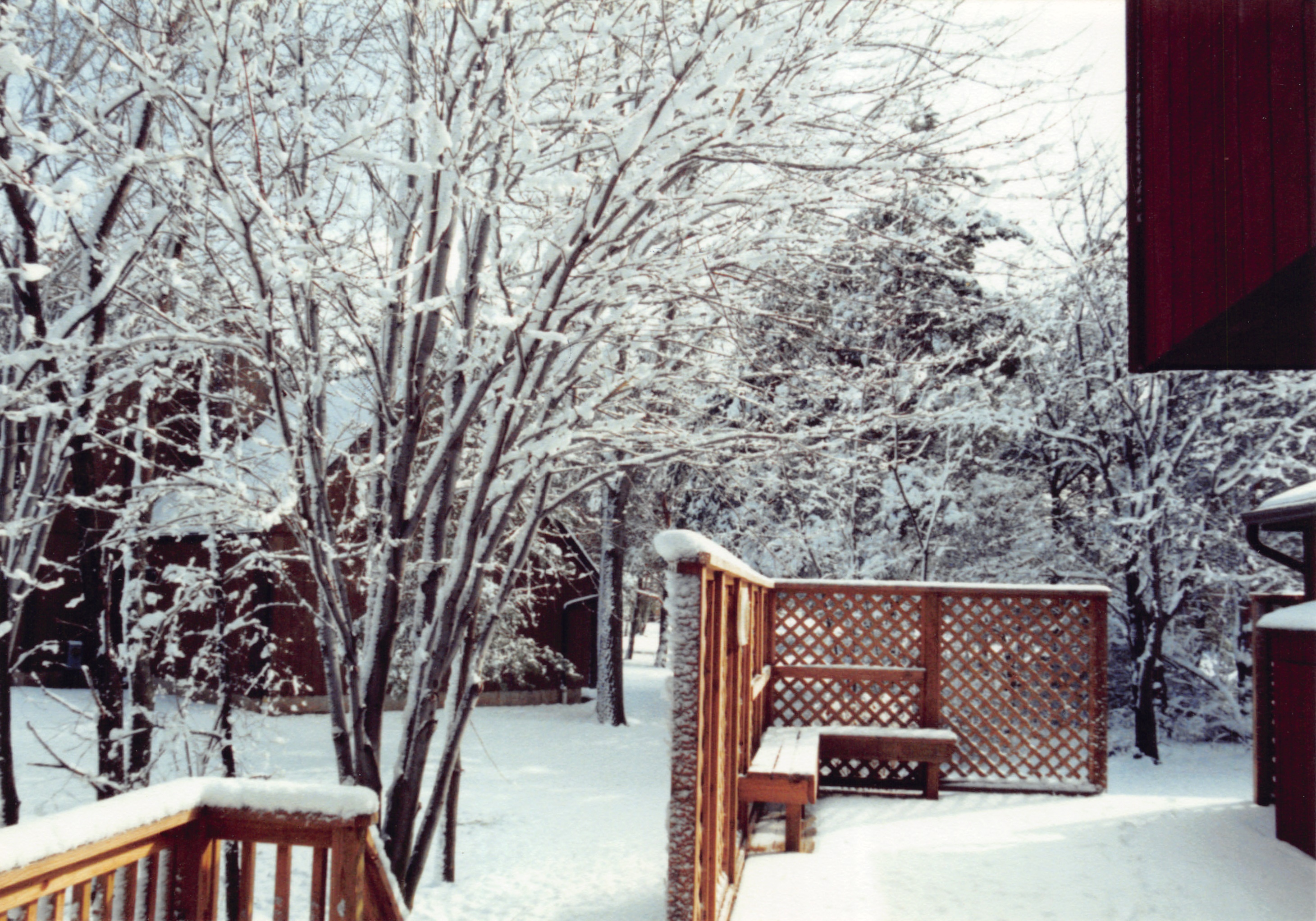 1992_204.jpg