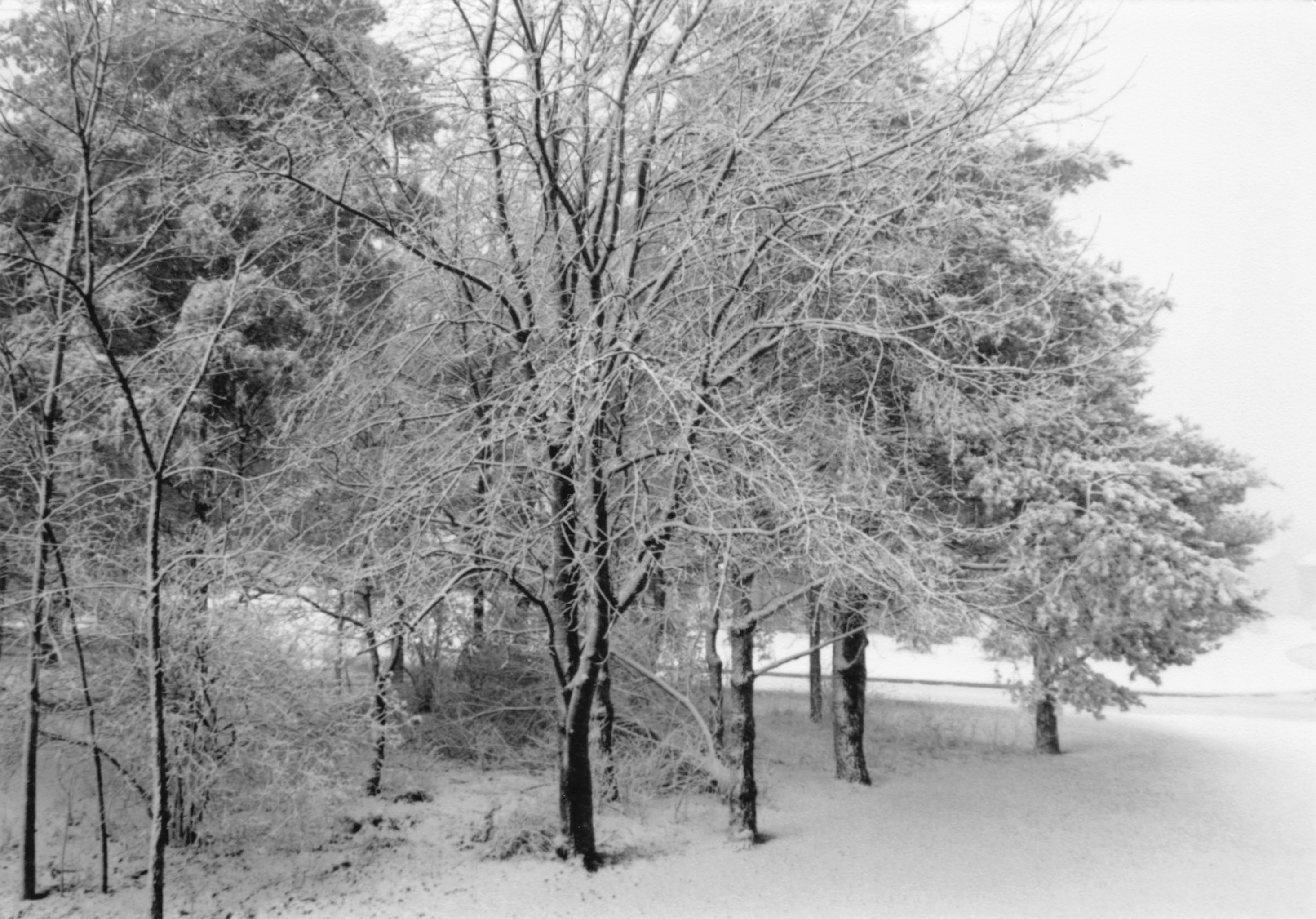 1992_206.jpg