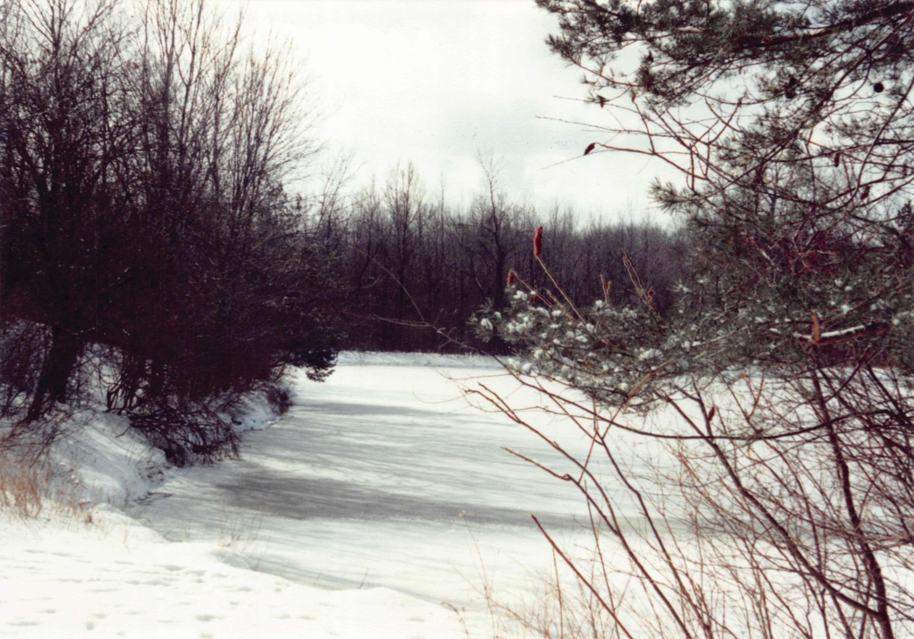 1992_208.jpg