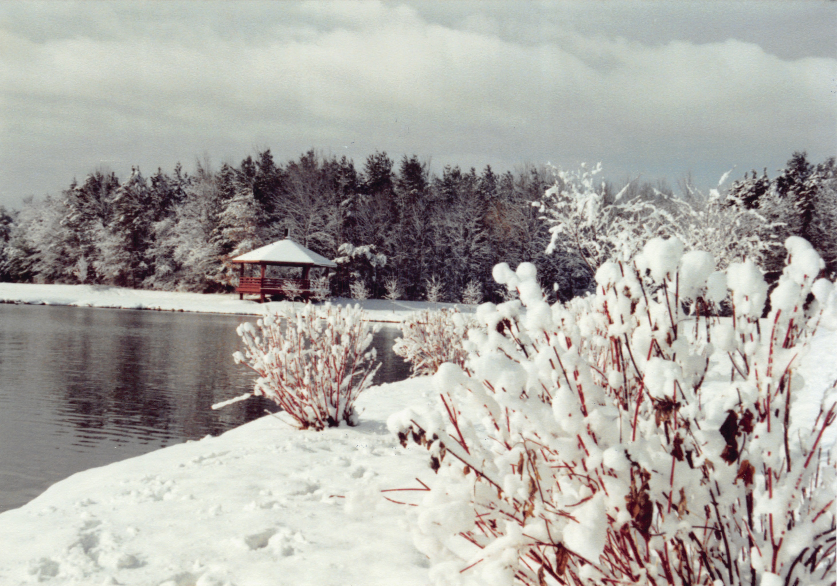 1992_214.jpg