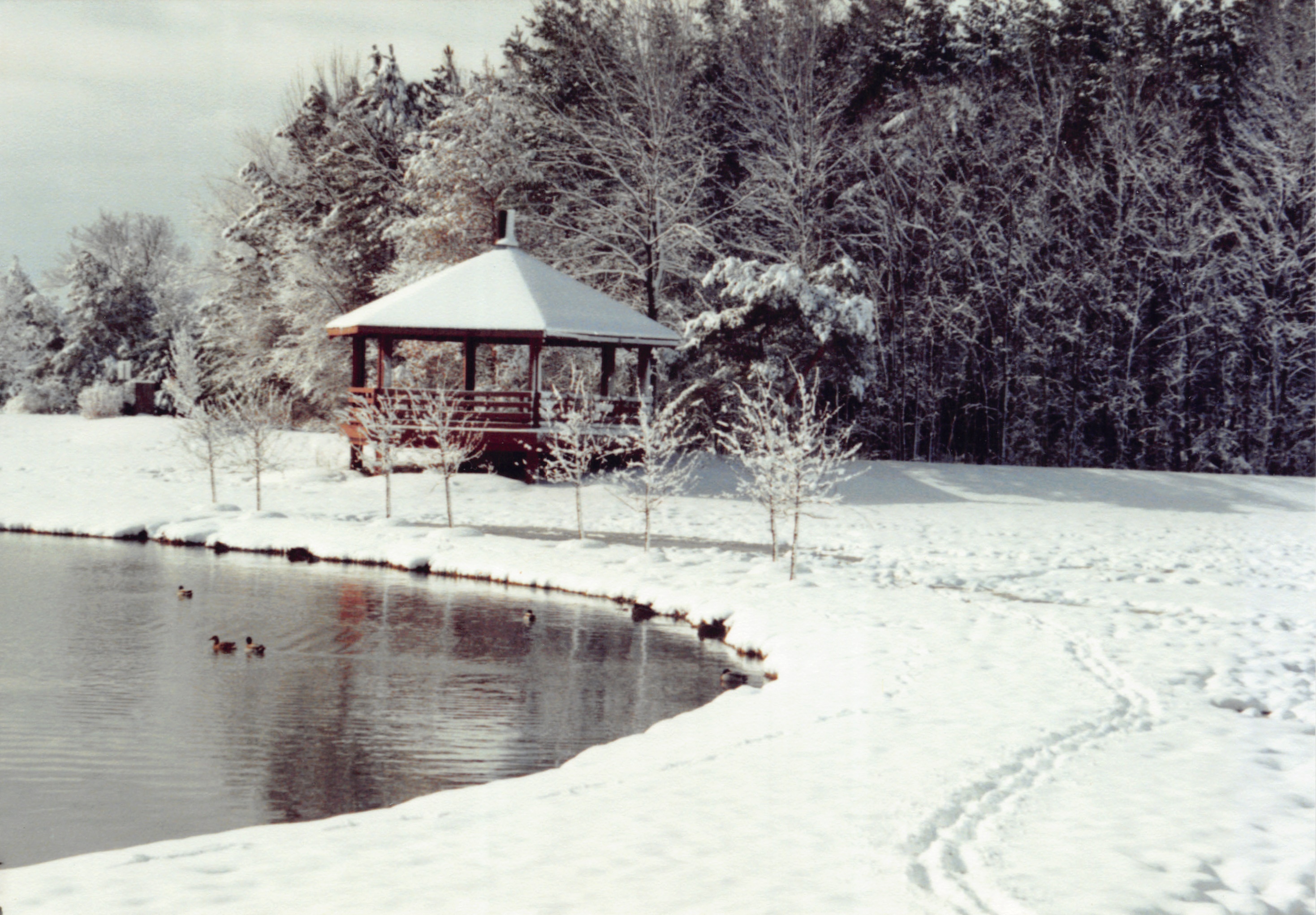 1992_216.jpg