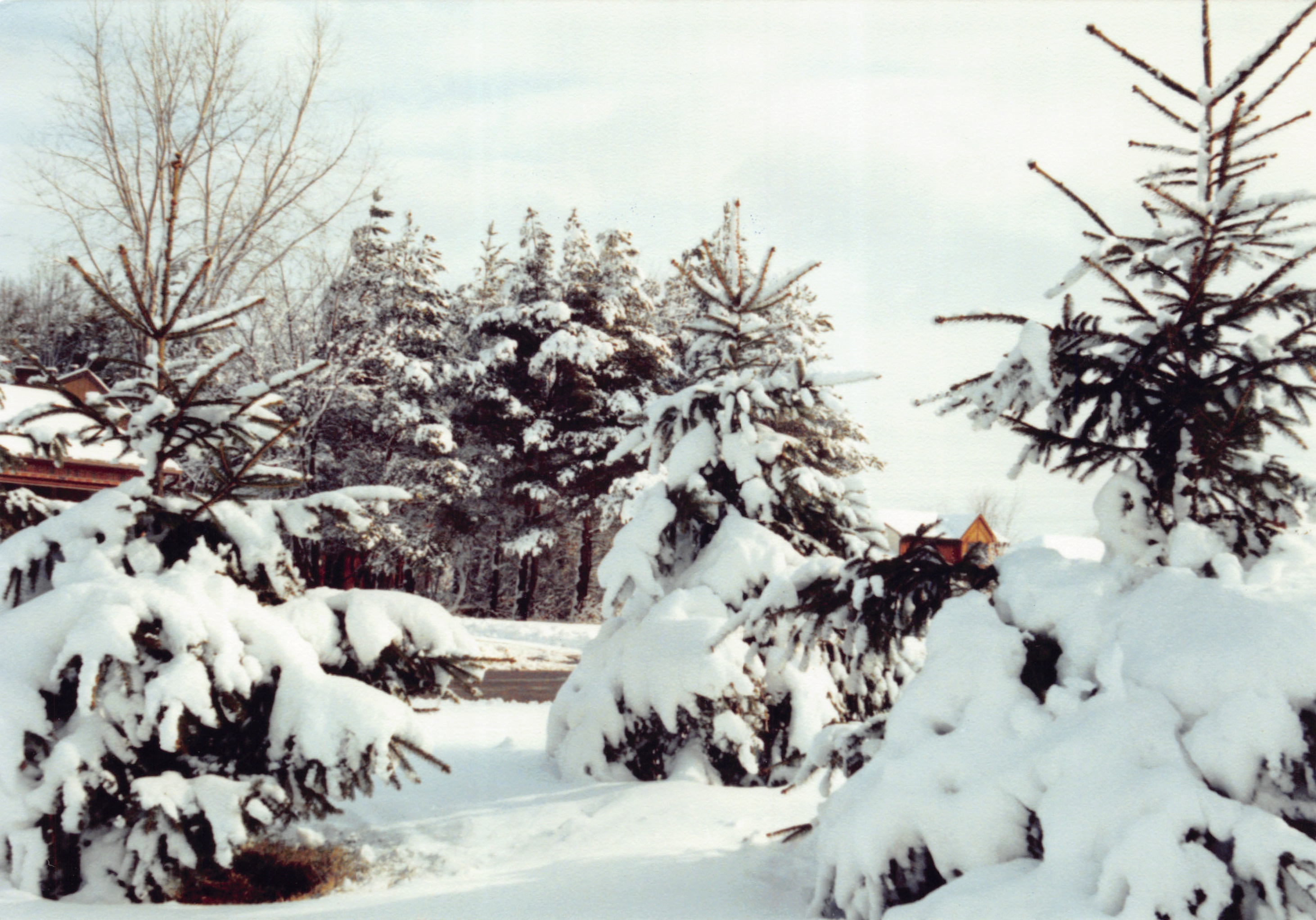 1992_218.jpg