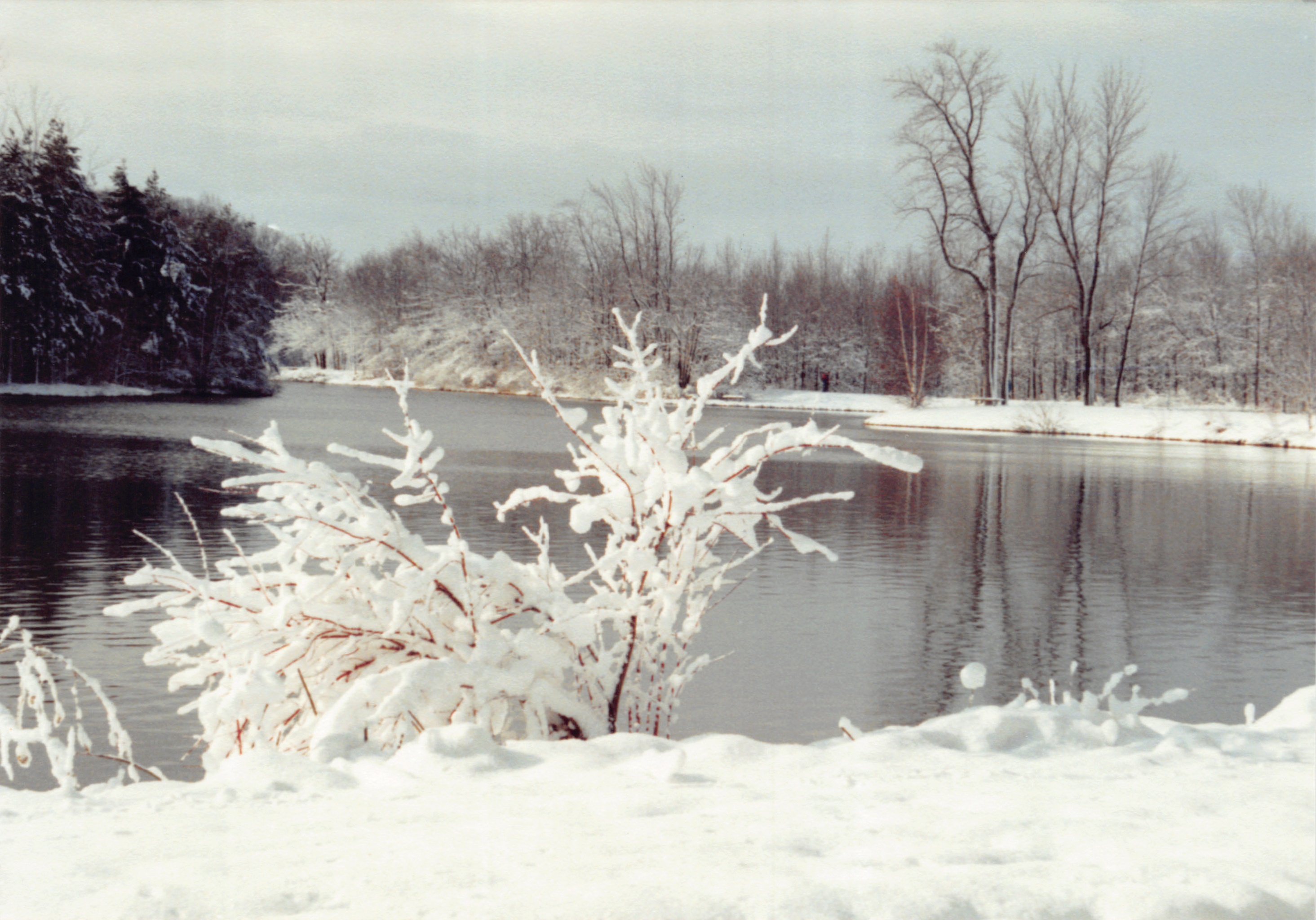 1992_220.jpg