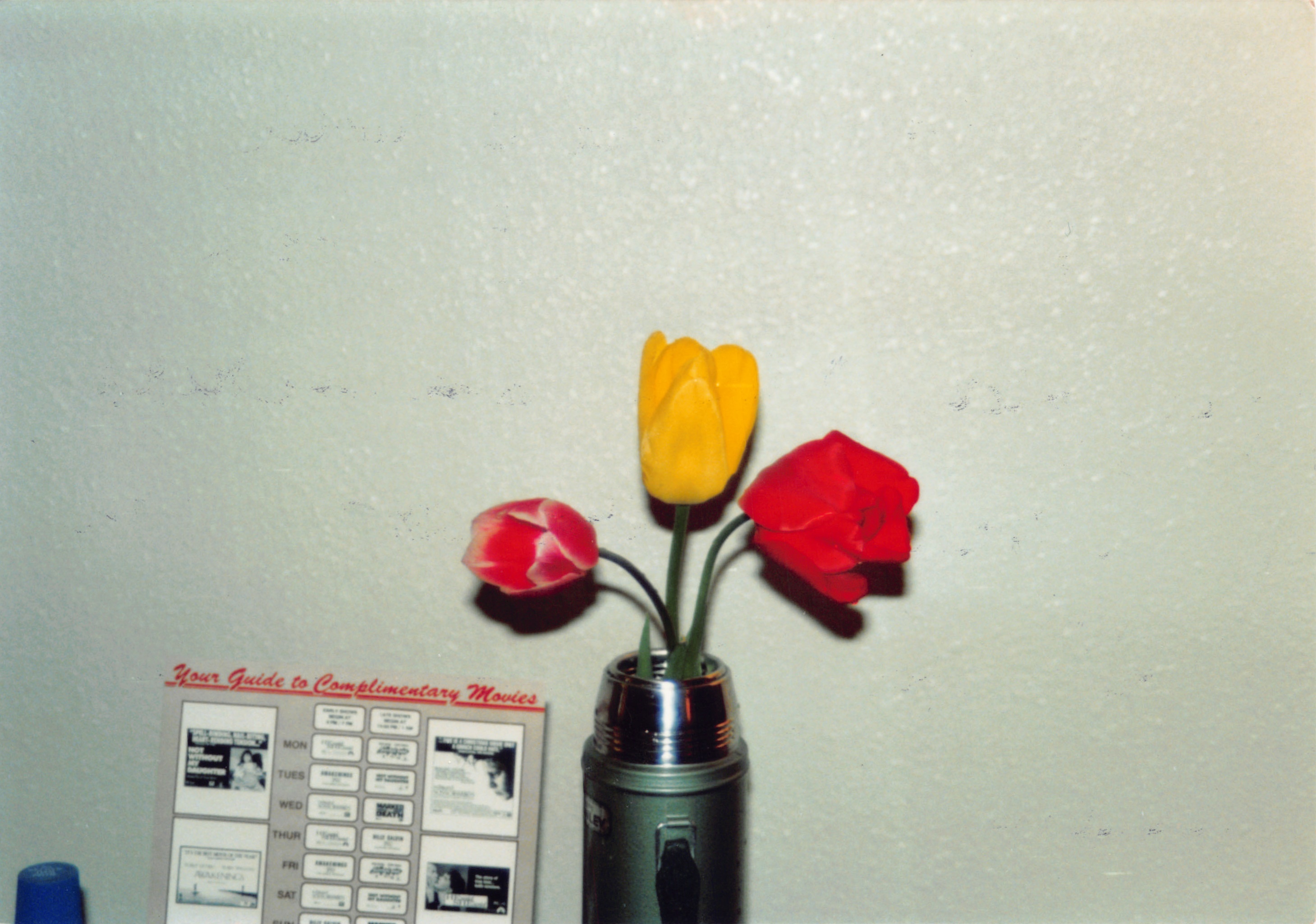 1992_325.jpg