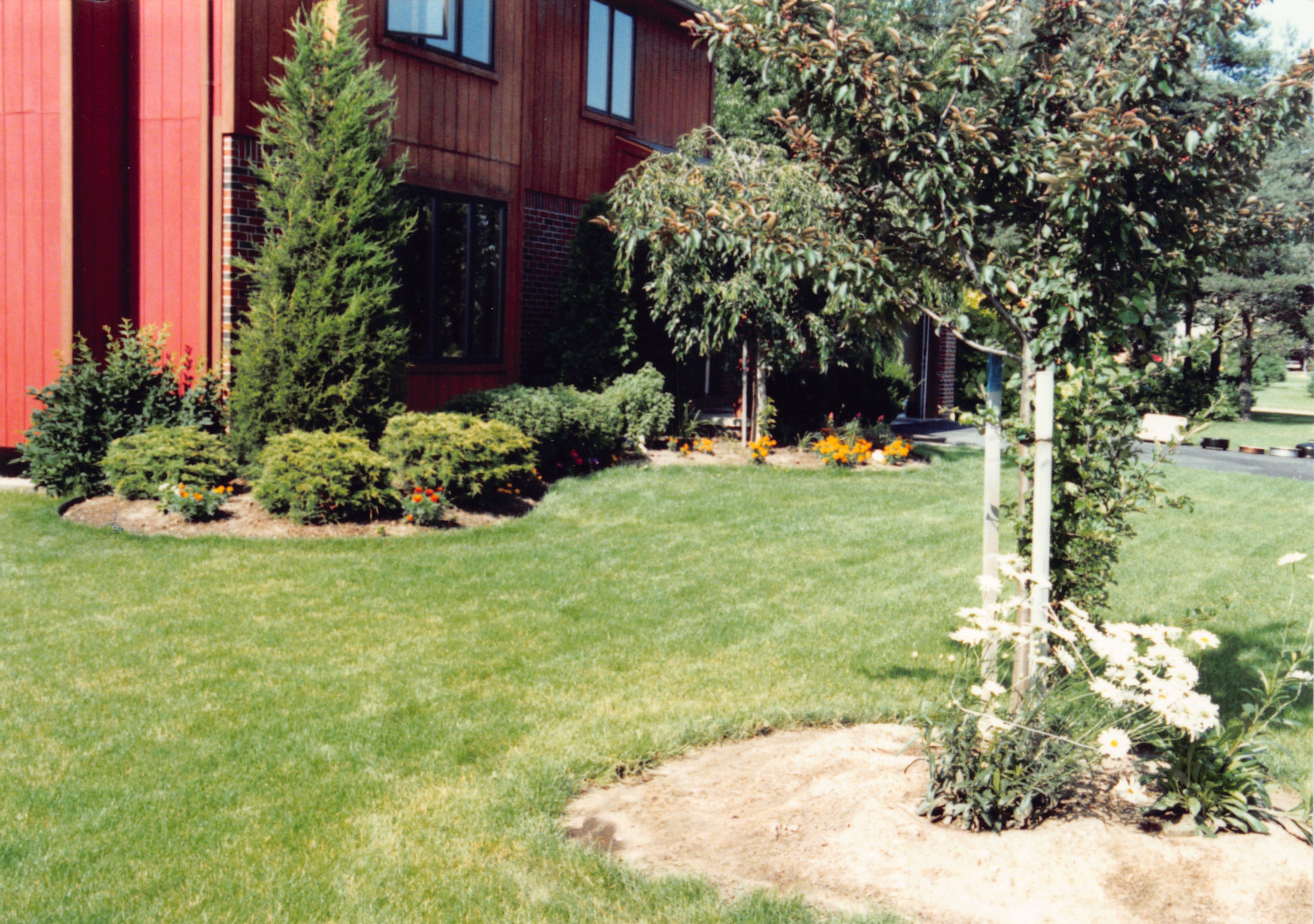 1992_329.jpg