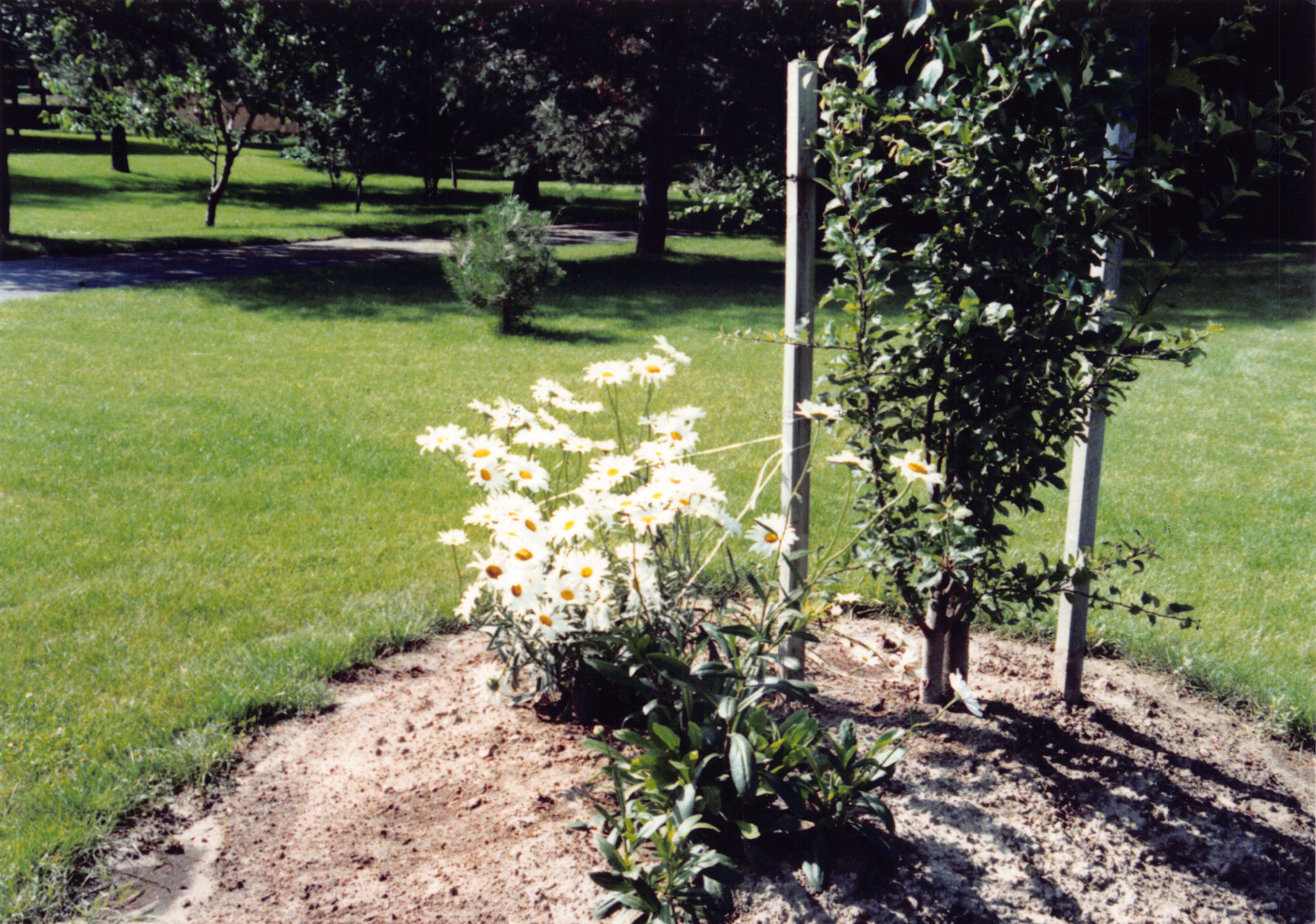 1992_331.jpg