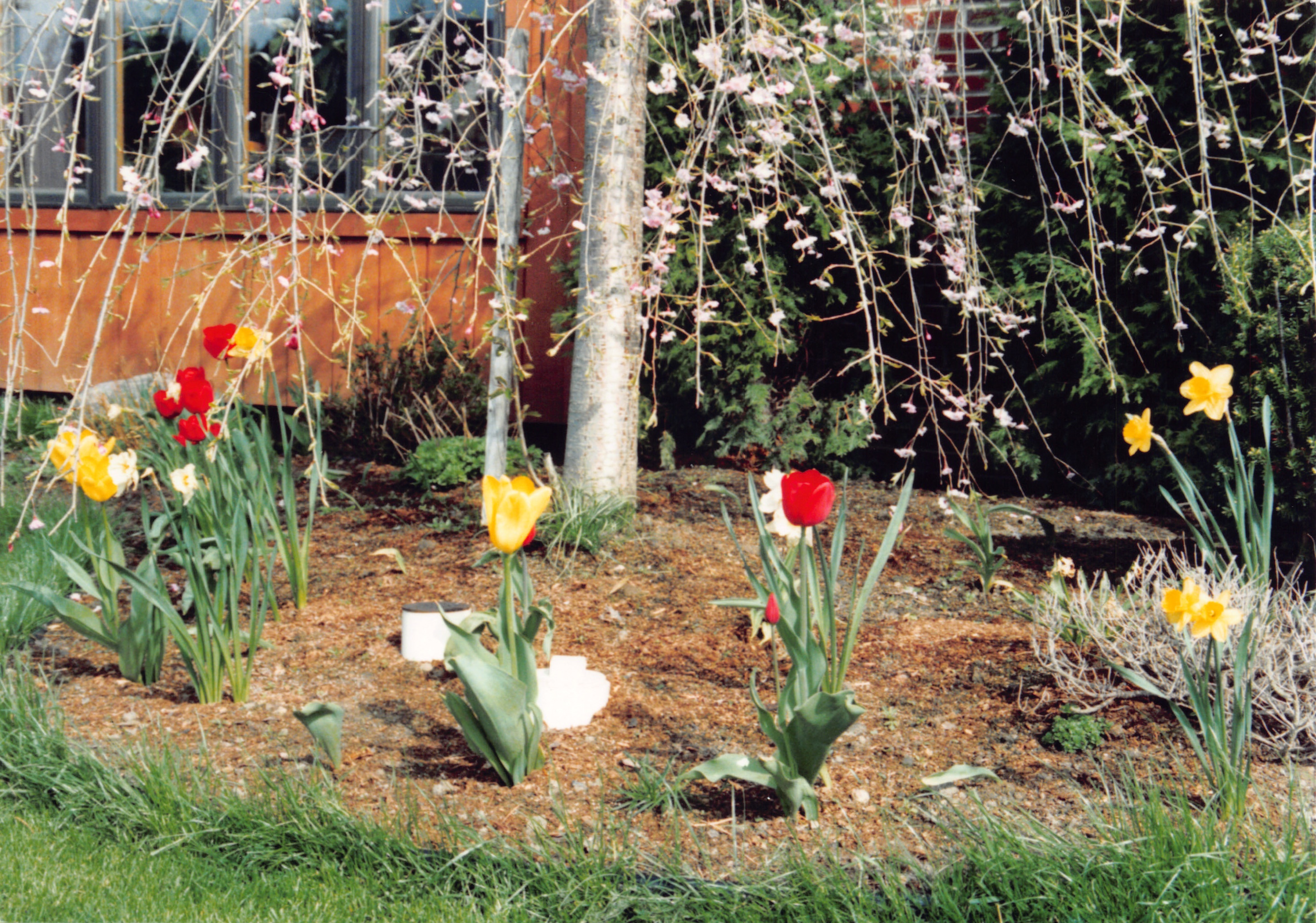 1992_335.jpg