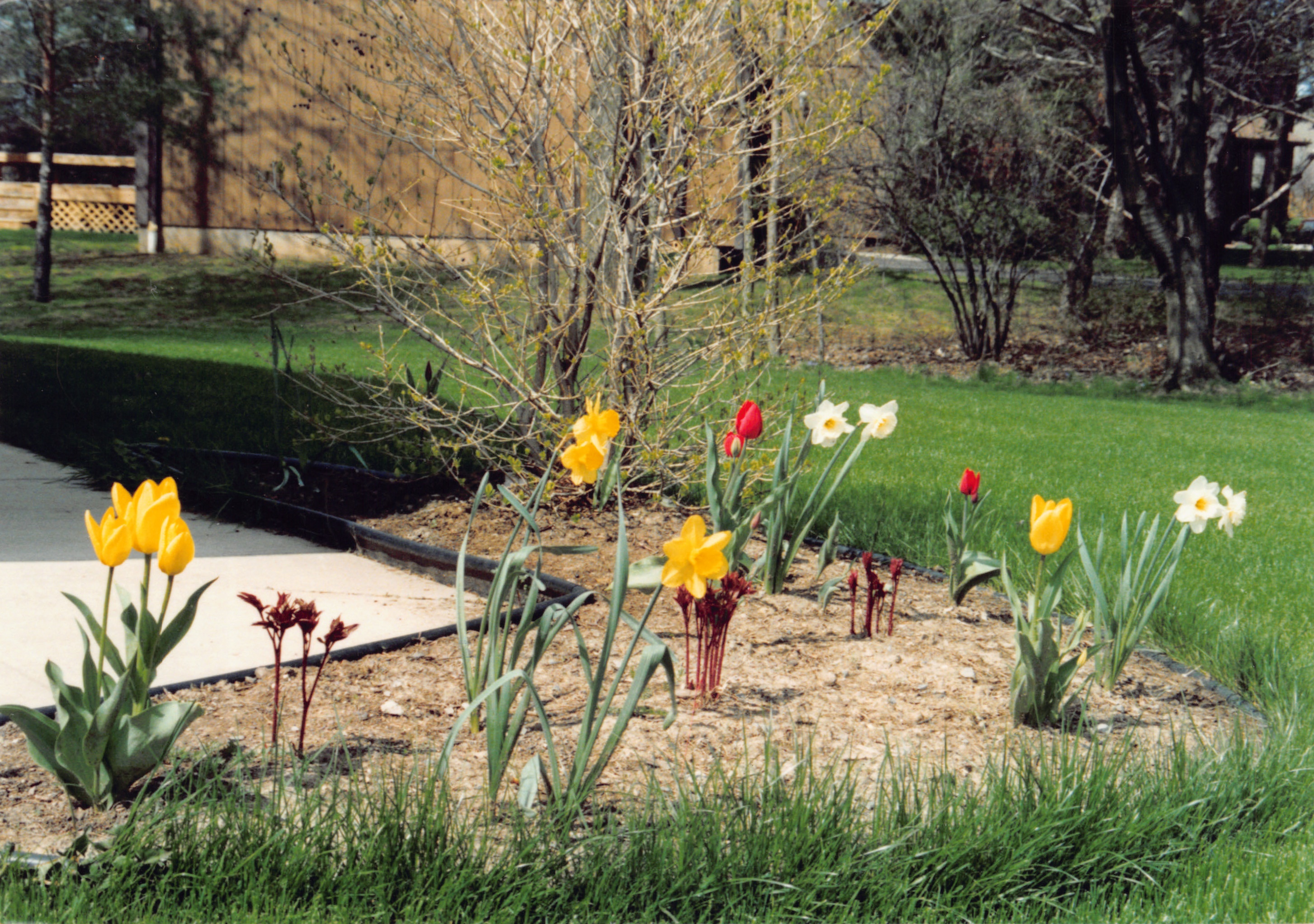 1992_337.jpg