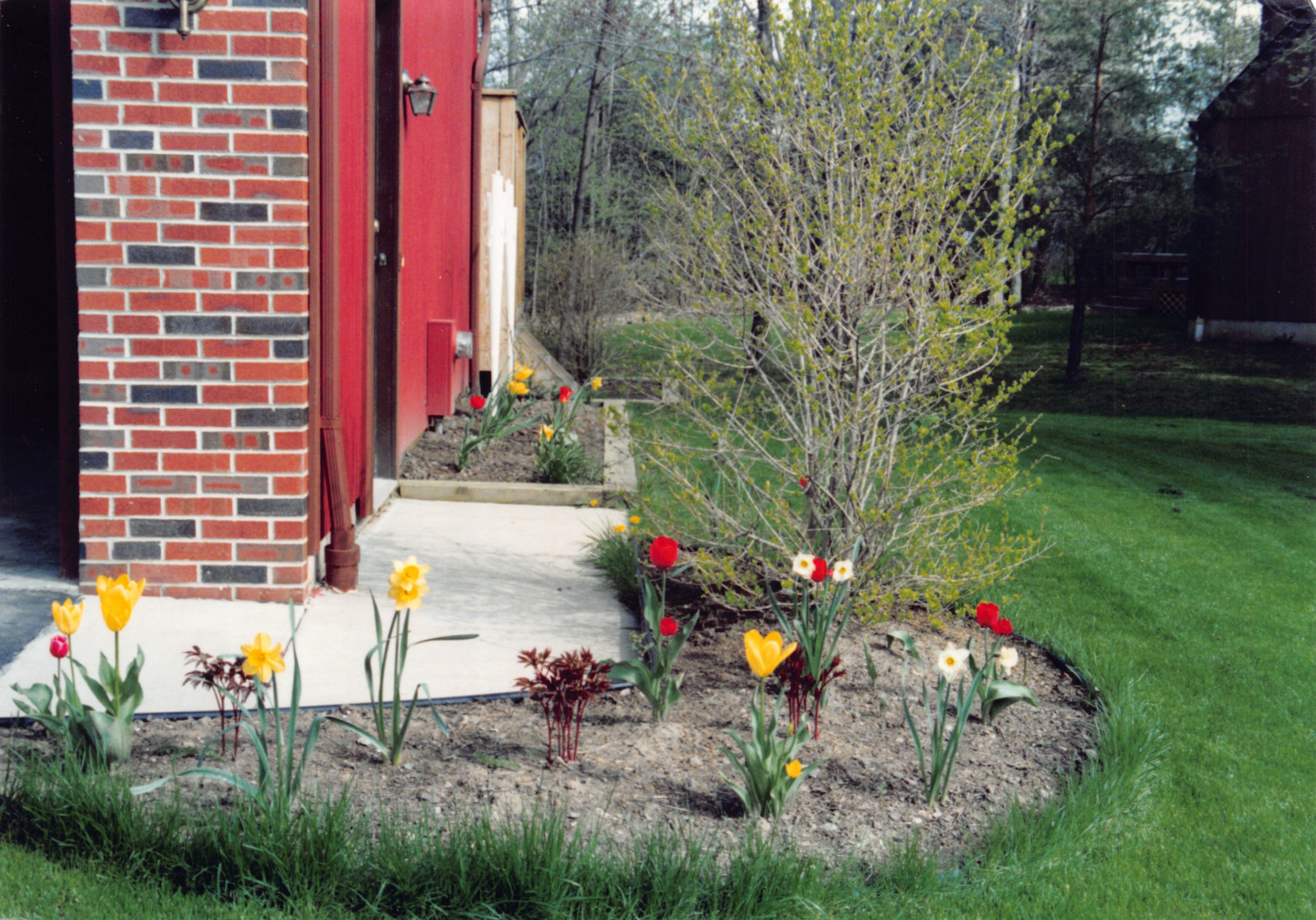 1992_339.jpg